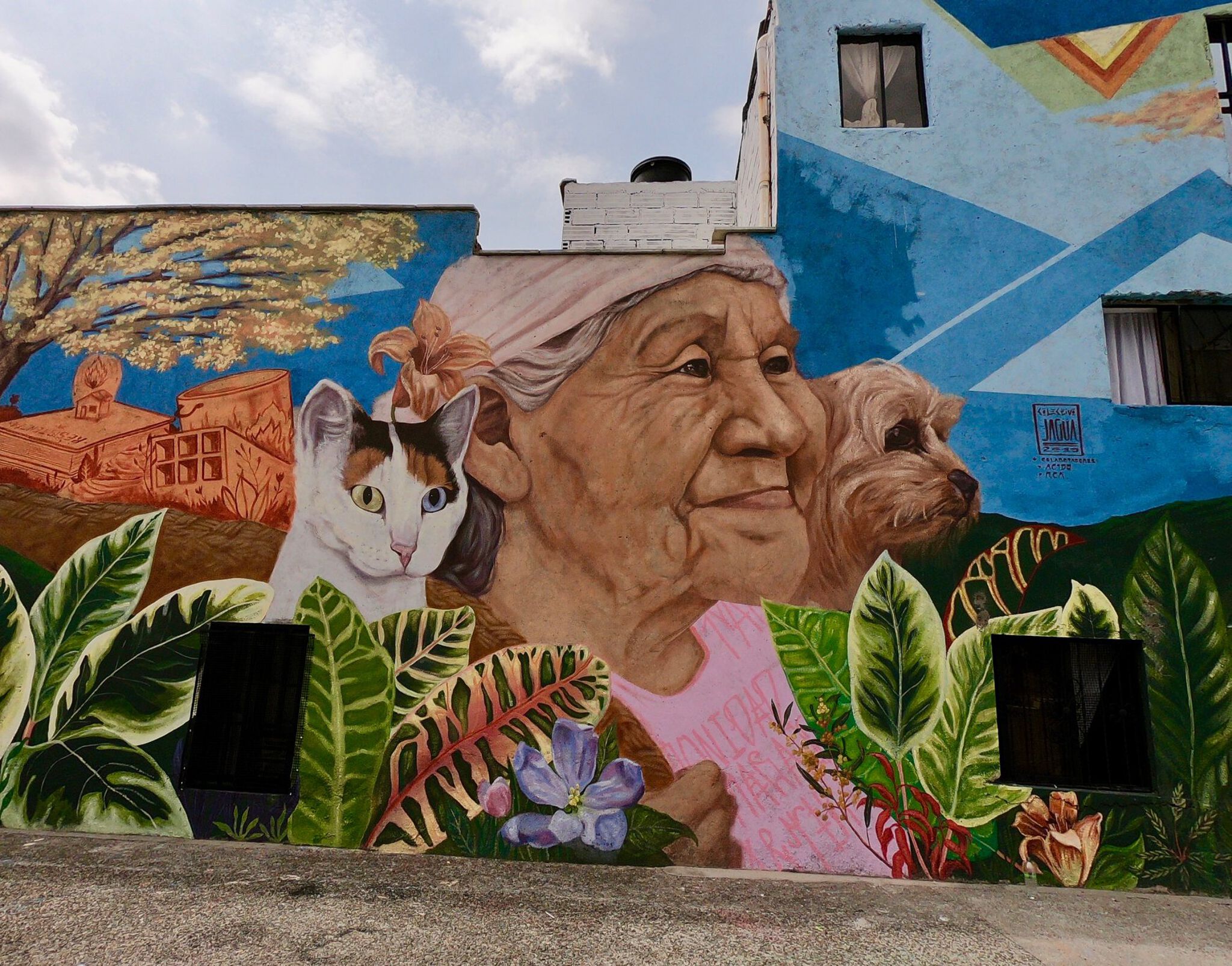 Jagua Colectivo&mdash;Untitled