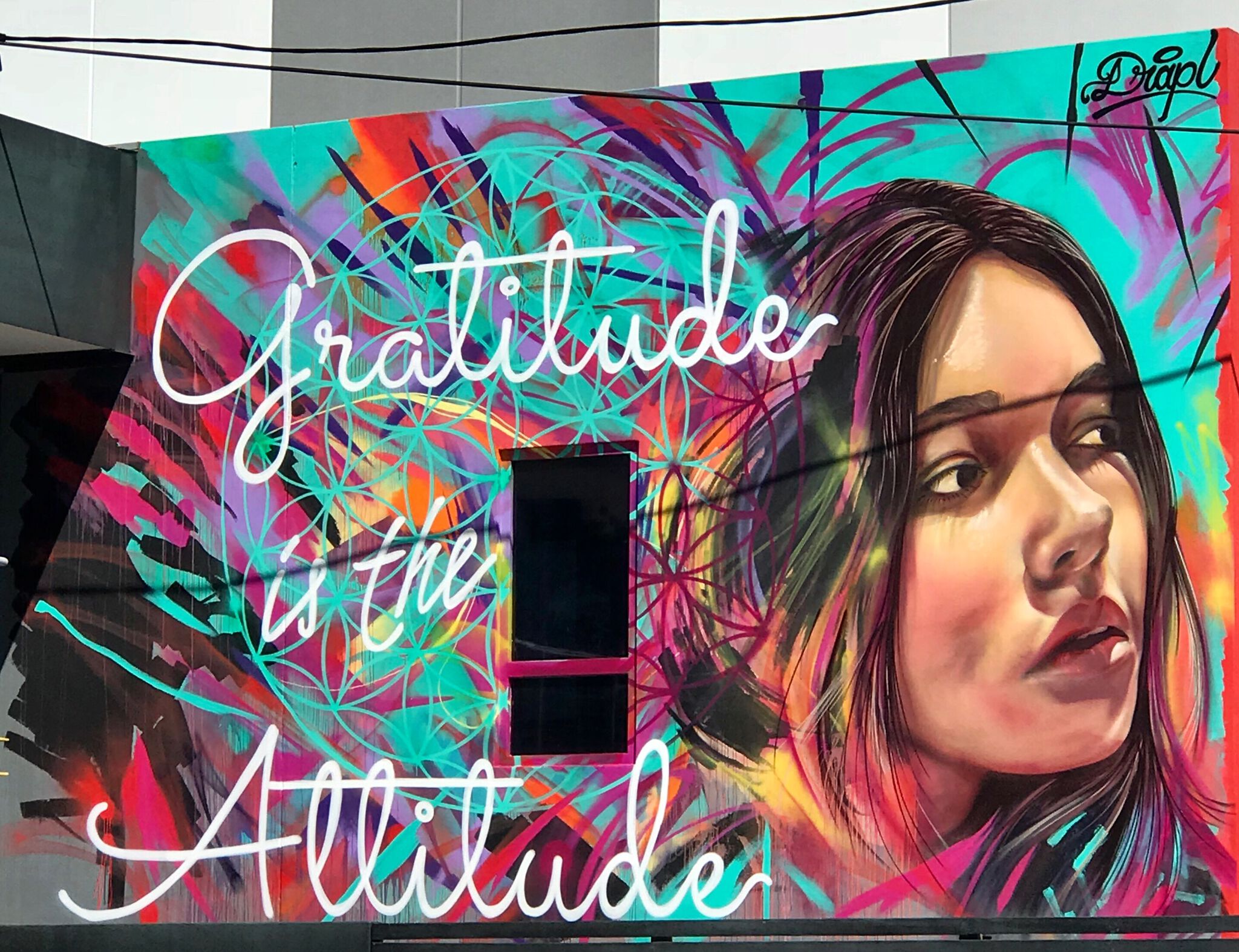 Drapl&mdash;Gratitude is the Attitude