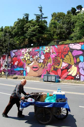 Istanbul Mural
