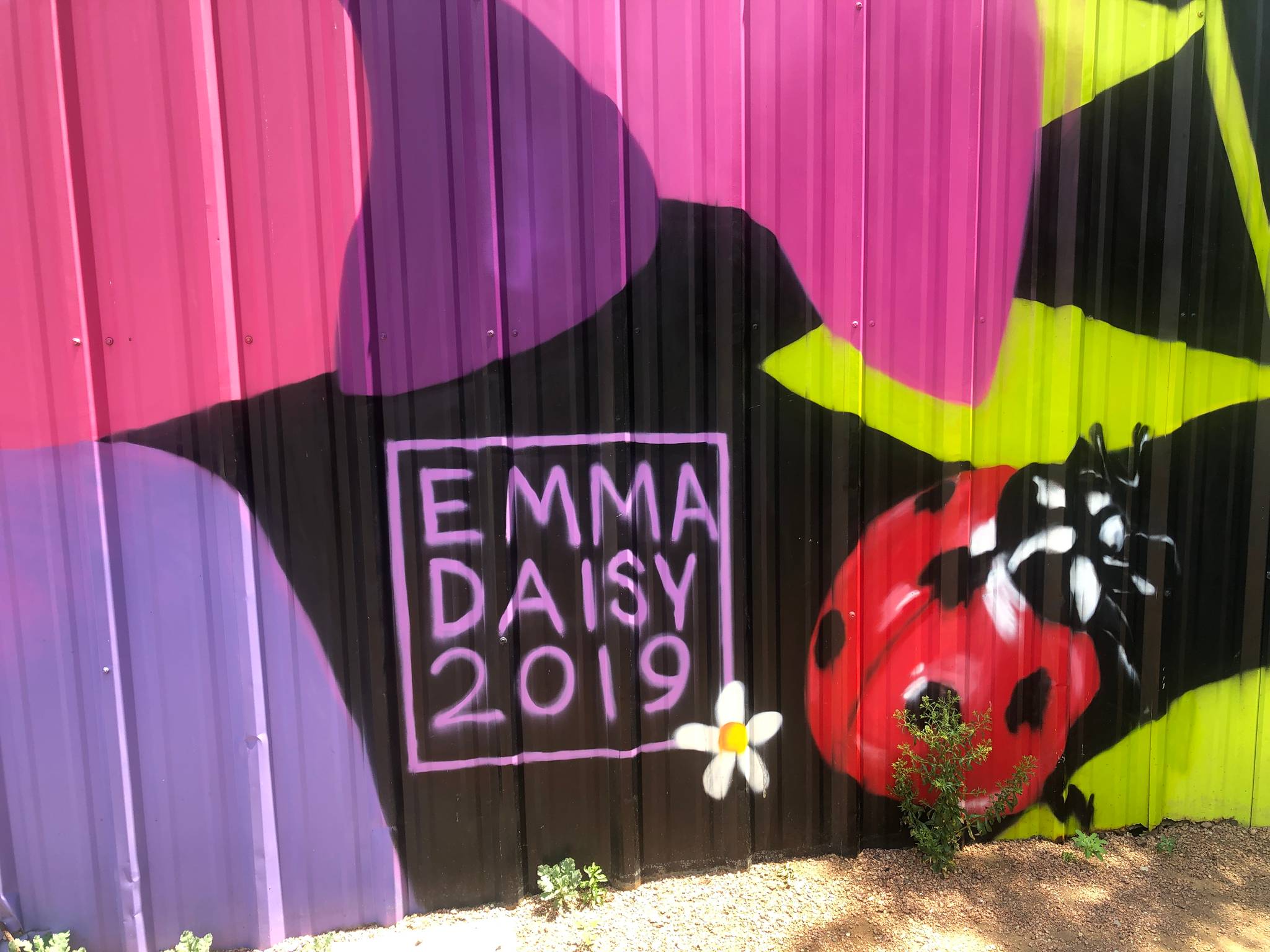 Emma Daisy Gertel&mdash;WESTOWN IN BLOOM