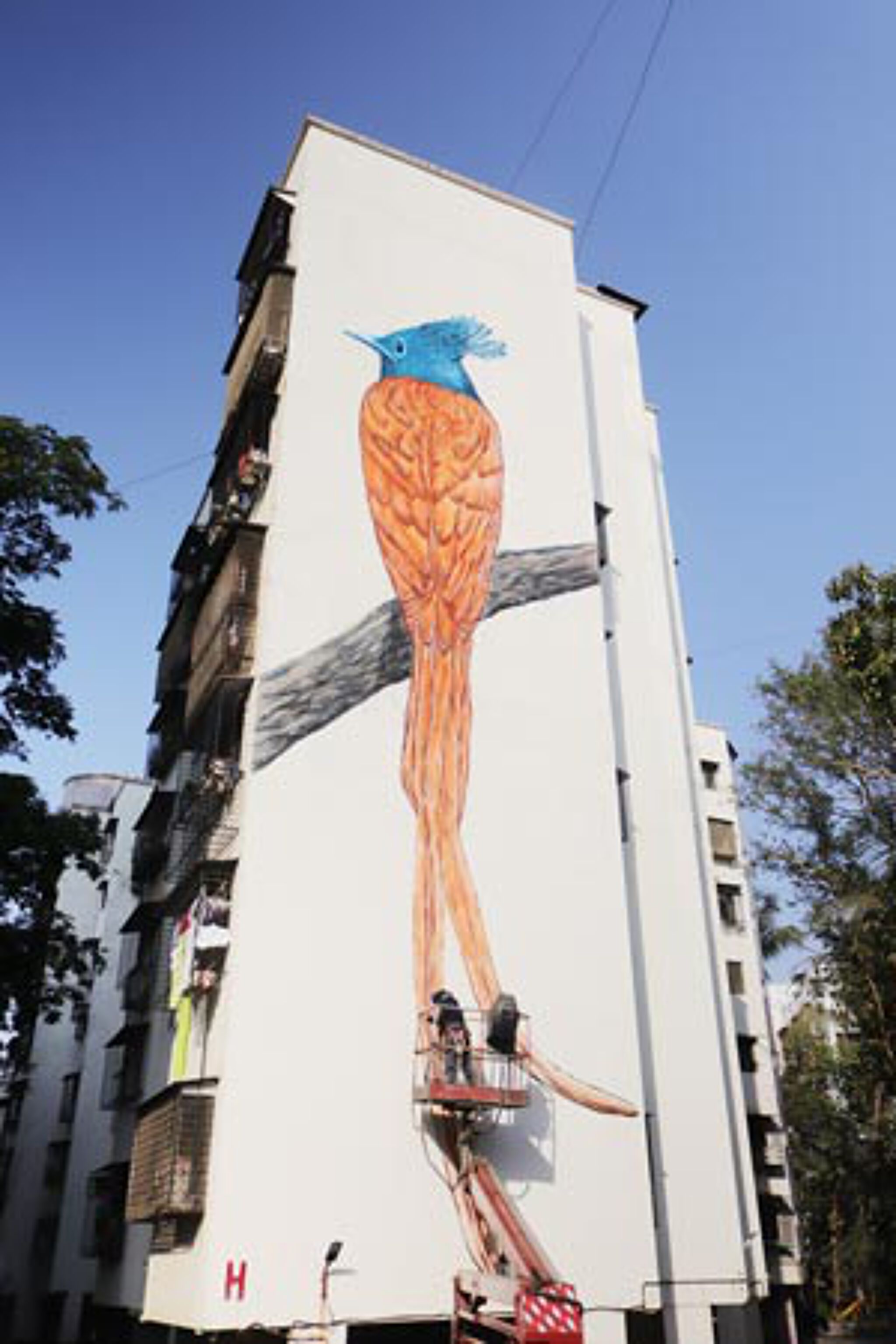 skshirin89&mdash;Asian Flycatcher