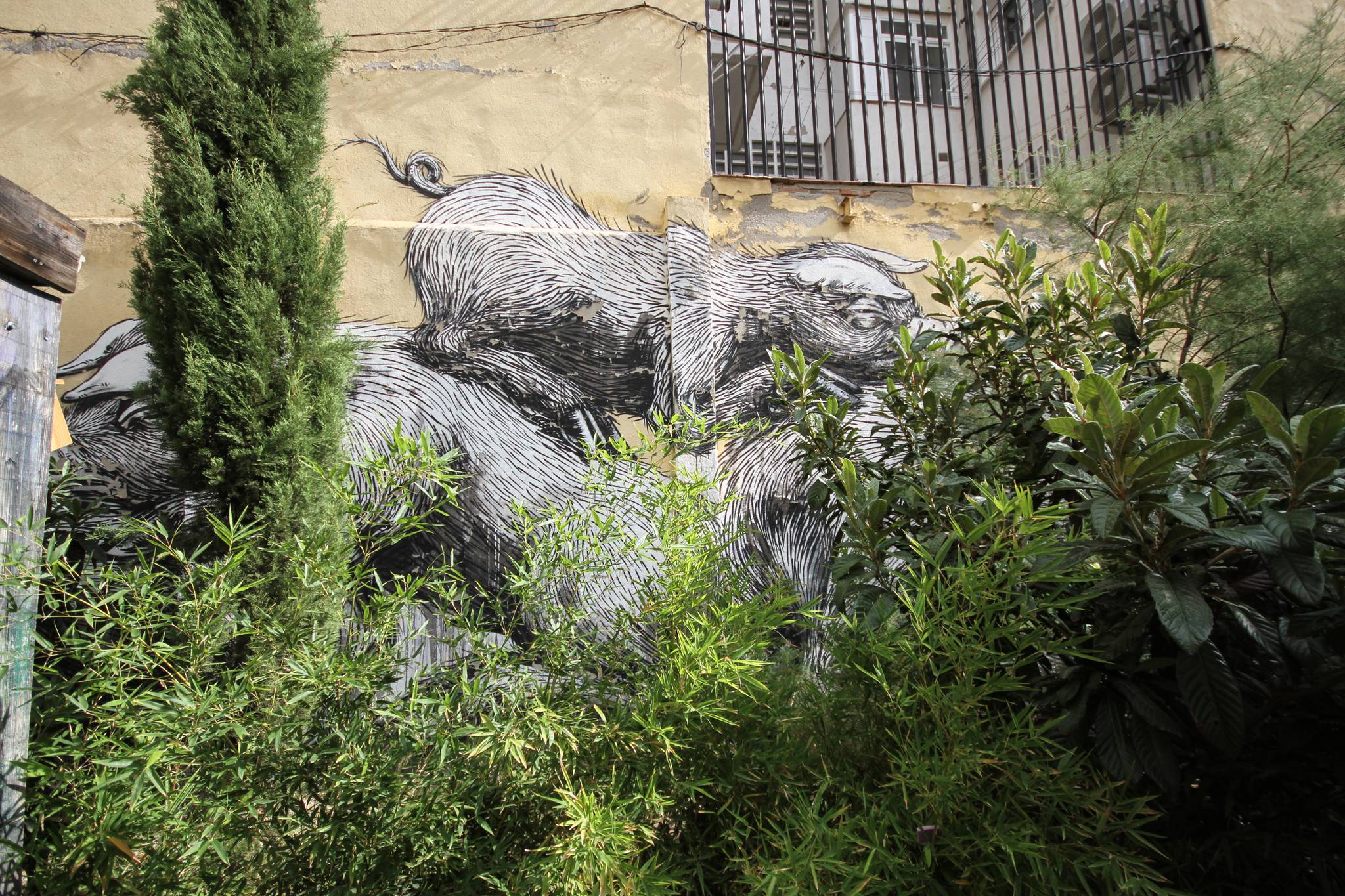 ROA&mdash;Pigs and Ox