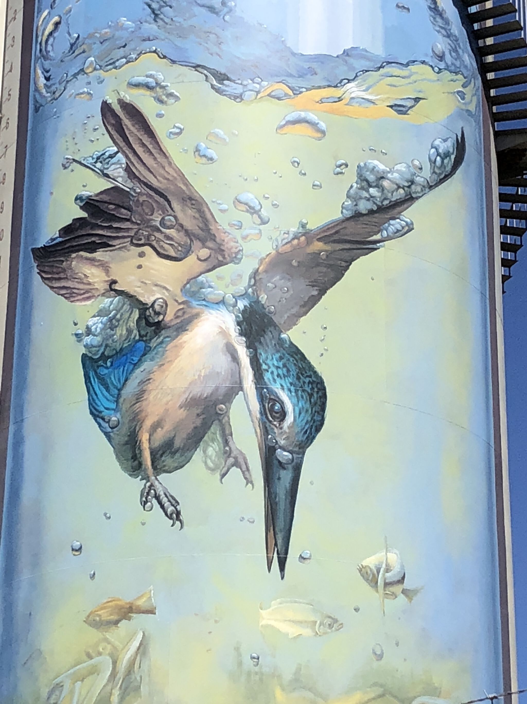 Jenny McCracken&mdash;Gulargambone Water Tower Art