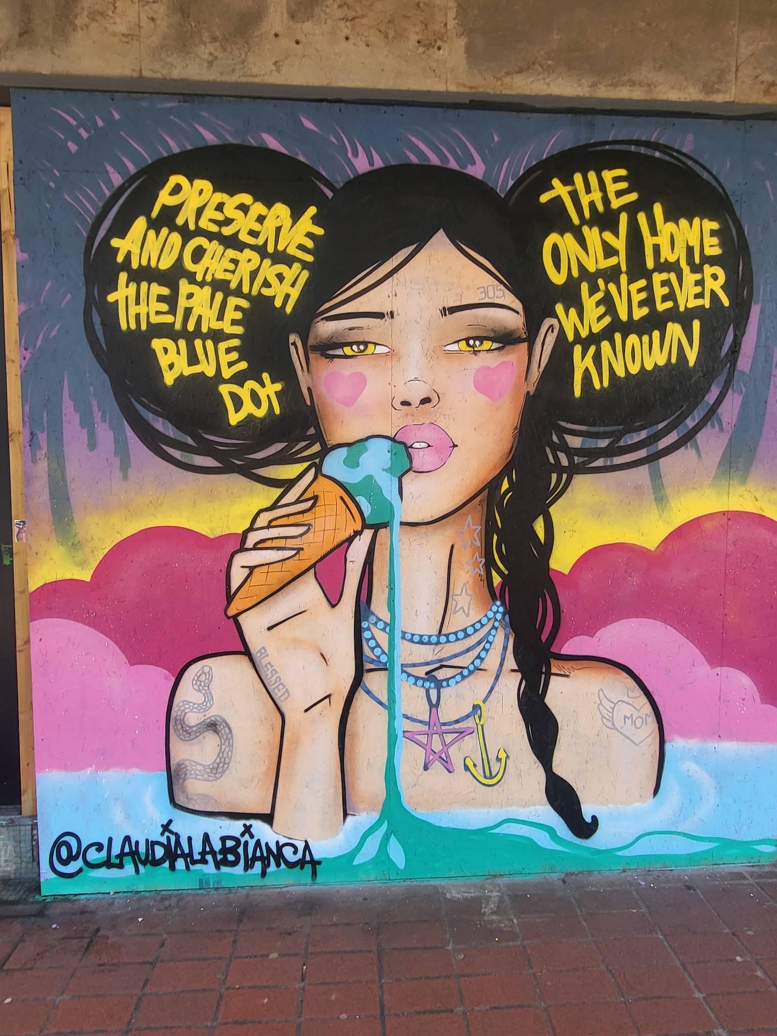 Roo Abrook, farkFK, My Dog Sighs, RoosArt, Mister Samo, Berk MLC, South Soak, Various Artists, Claudia La Bianca, Irony&mdash;Palmerston Road Precinct