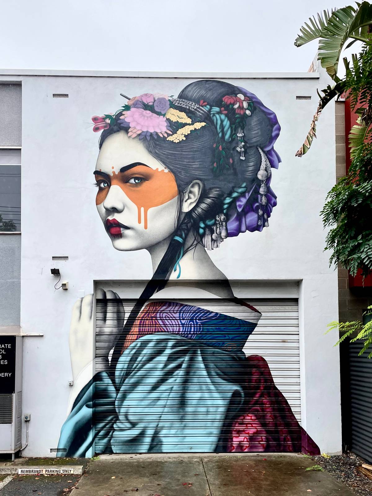 Fin DAC&mdash;Shinka