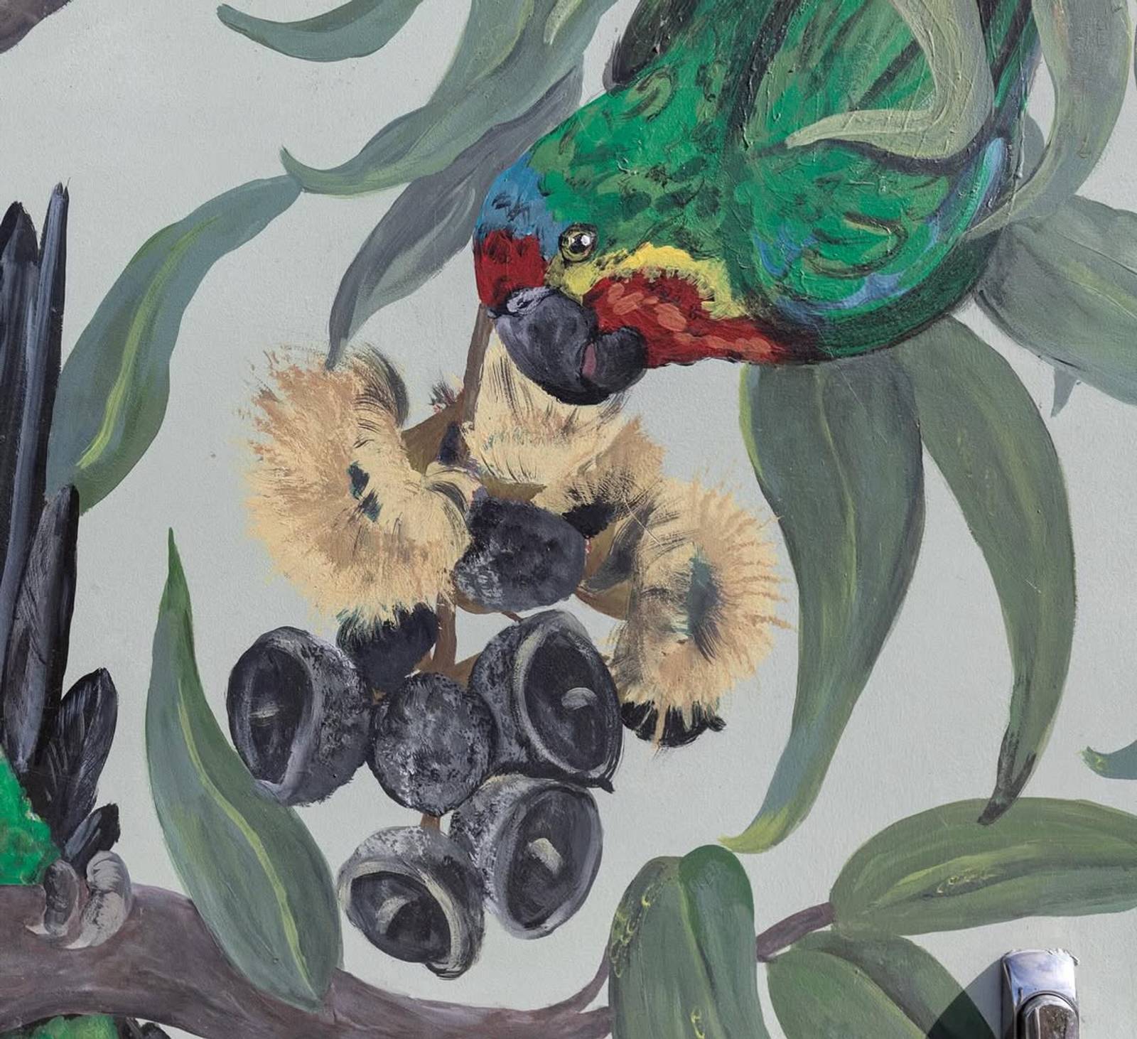 Amelia Digney&mdash;Swift Parrot