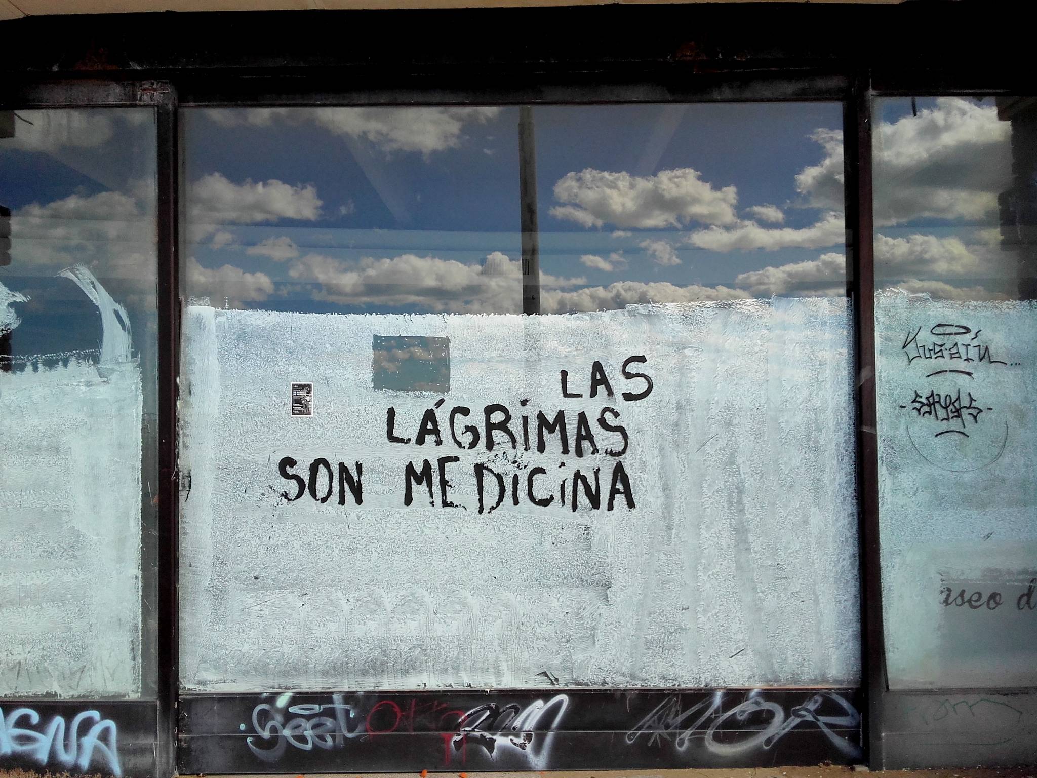 &mdash;LAS LAGRIMAS SON MEDICINA