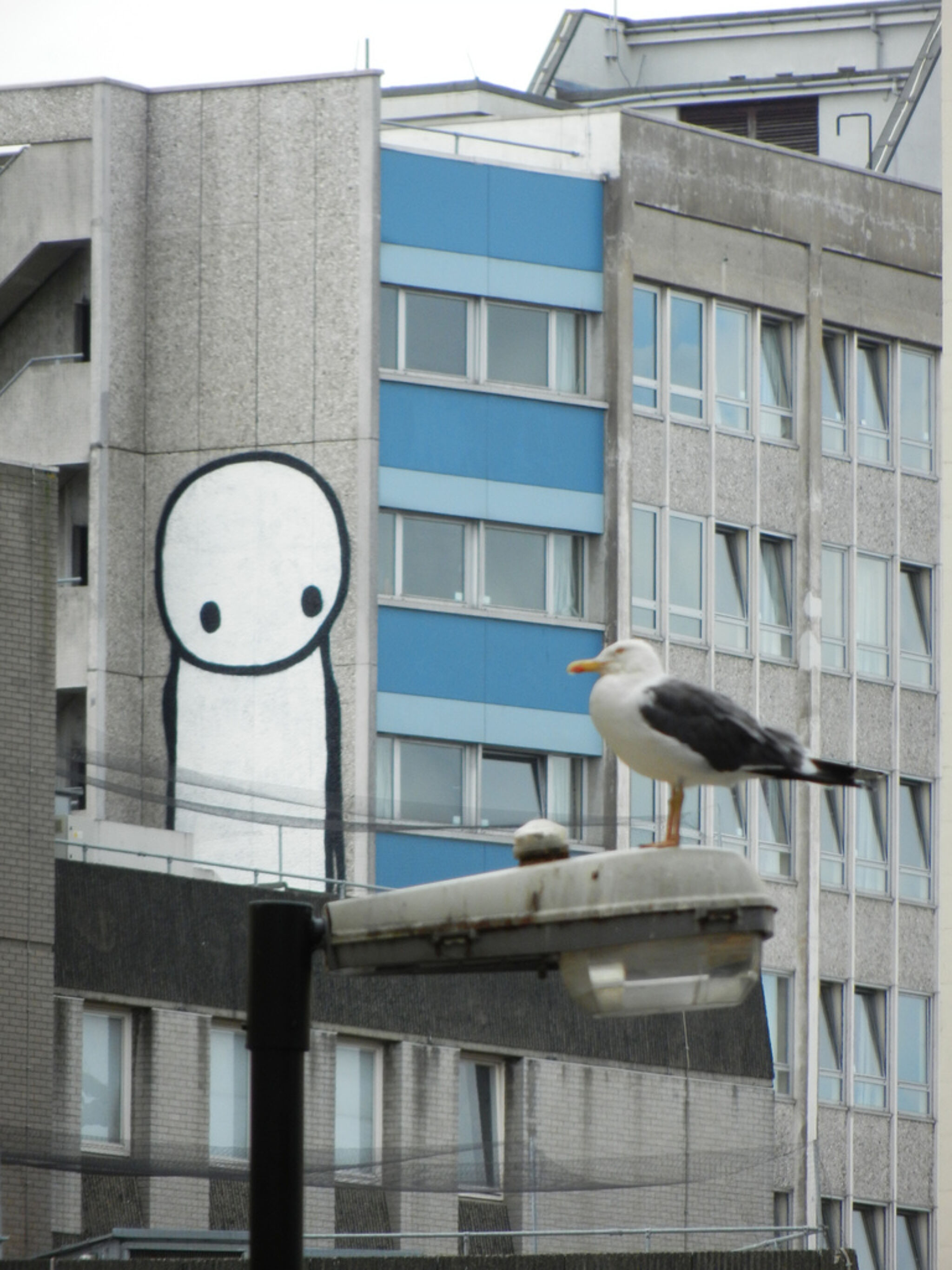 Stik&mdash;Untitled