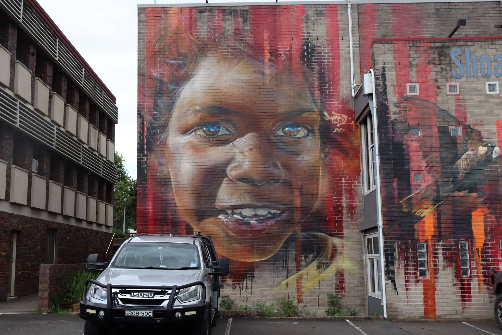 Adnate&mdash;Celebrating Aboriginal Heritage