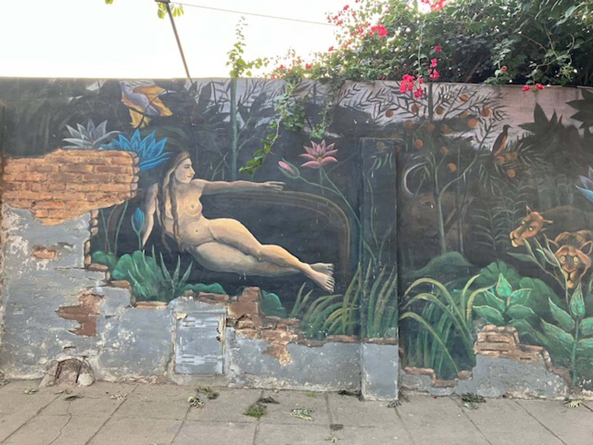 Leonardo Aguaisol&mdash;Animal