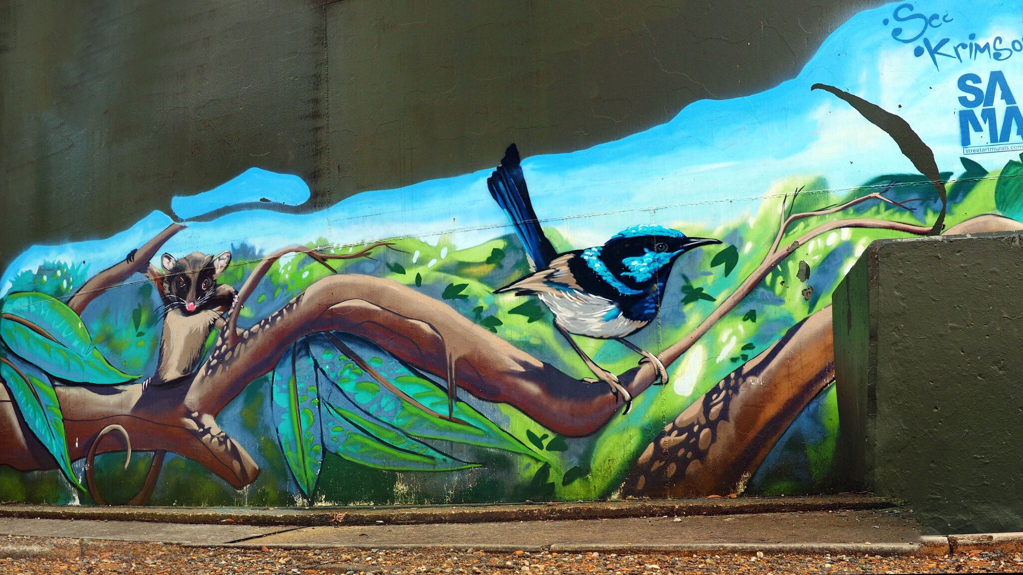 Scott Nagy, Krimsone&mdash;Mount Riverview Water Tank Art
