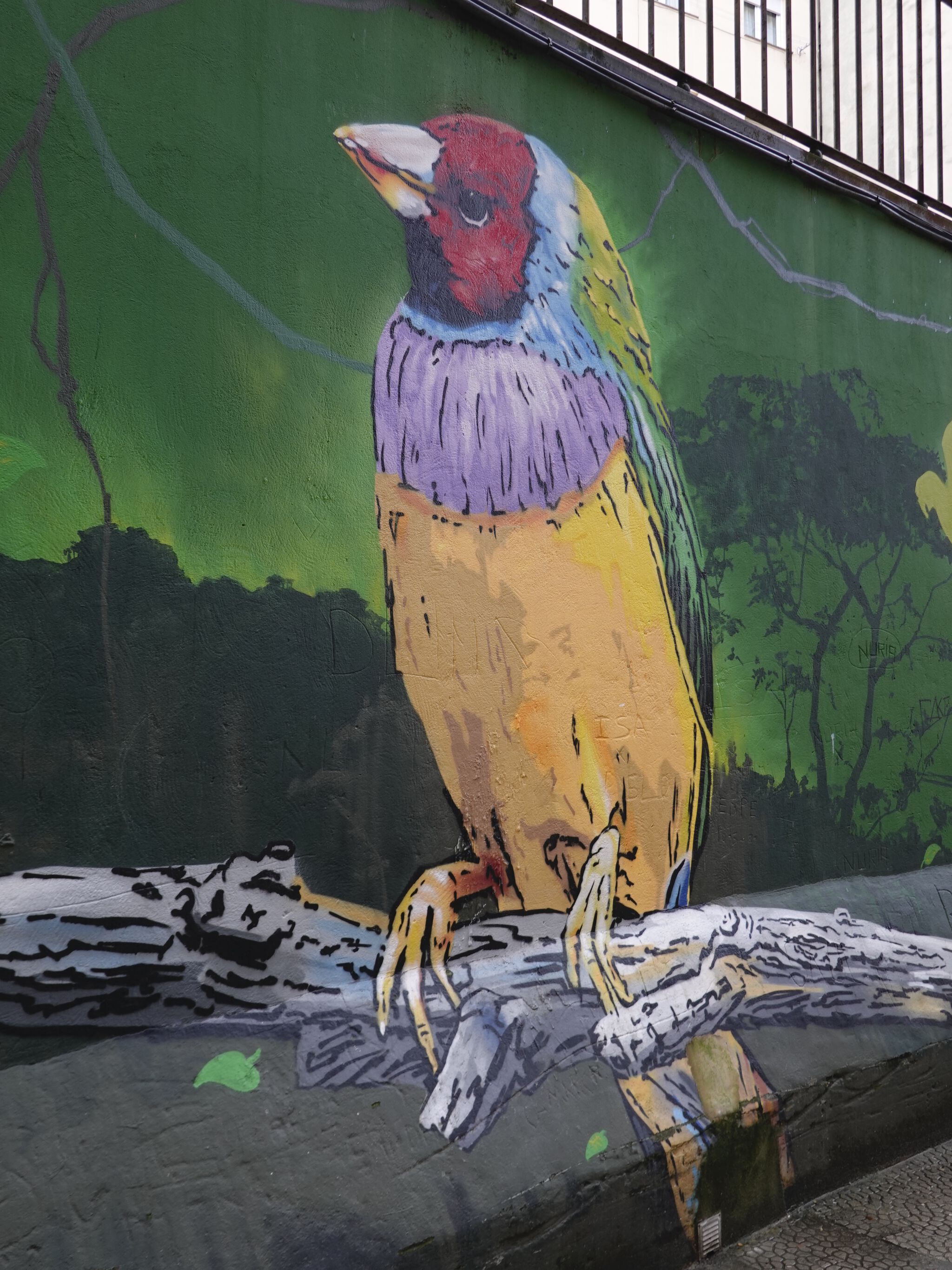 DEN XL ( Eva Mena), Jank&mdash;Papagayos and Parrots