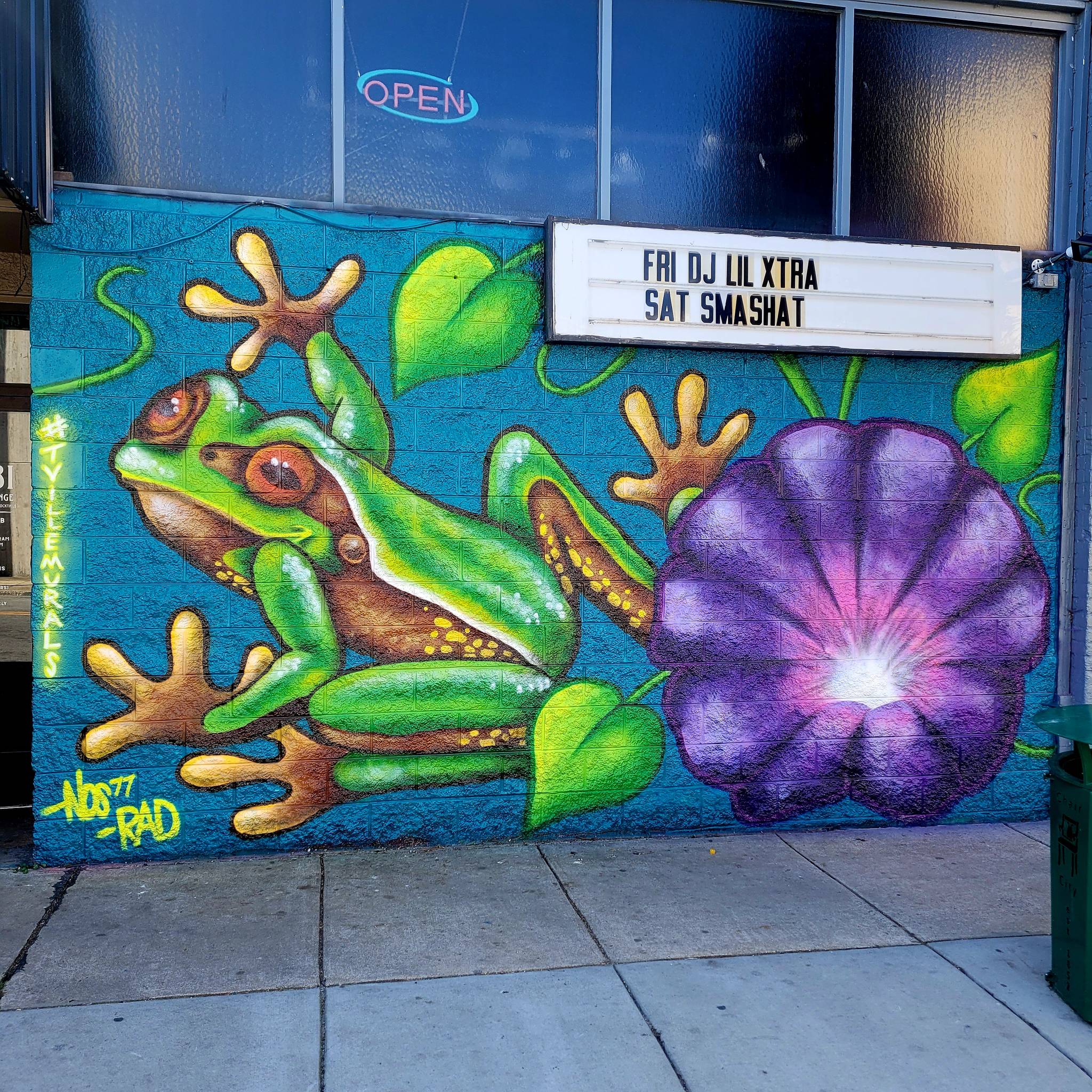 NOS77, RADICALSTATEART&mdash;Pine Barrens Tree Frog