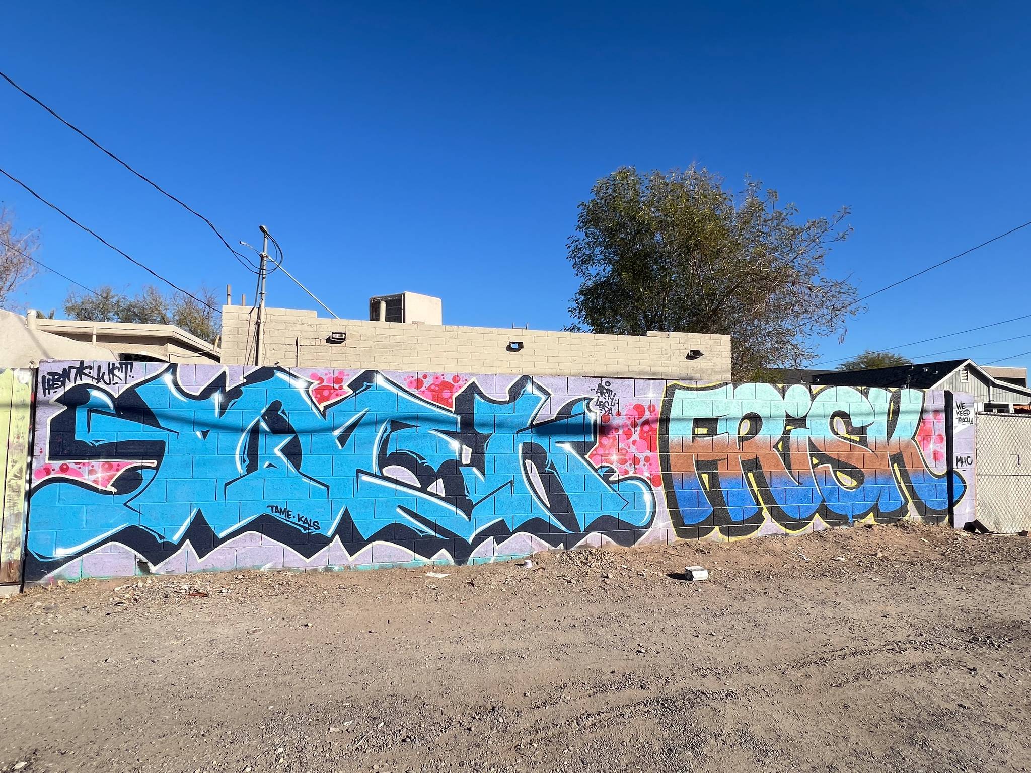 Unknown - Phoenix&mdash;Untitled