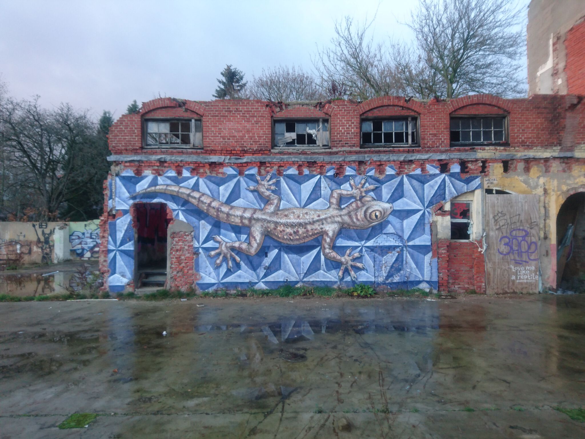Michel Velt&mdash;Gecko