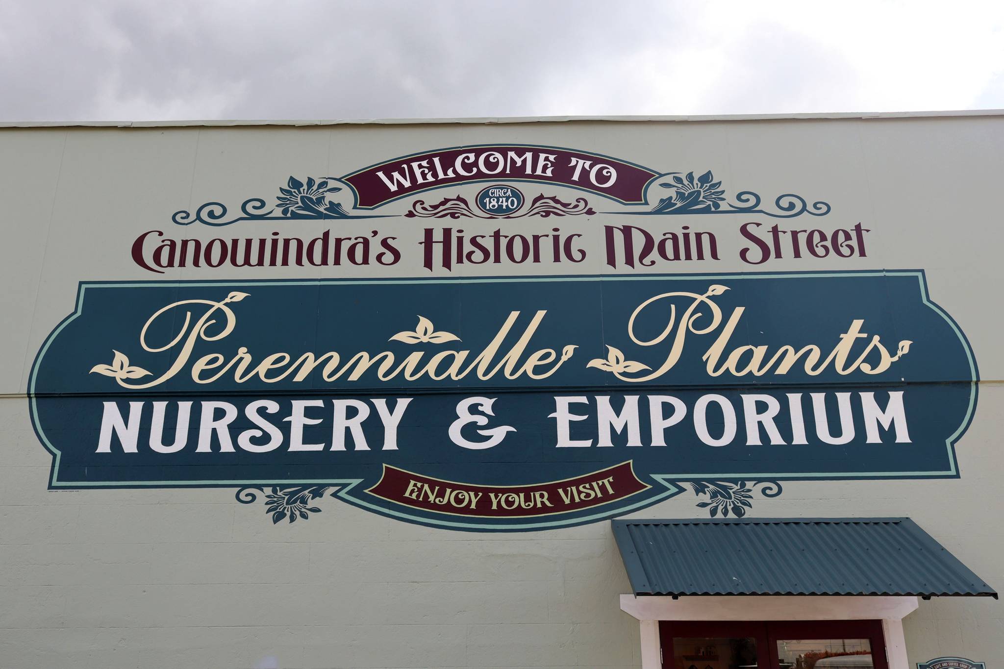 Unknown - Cowra&mdash;Perennialle Plants Nursery & Emporium