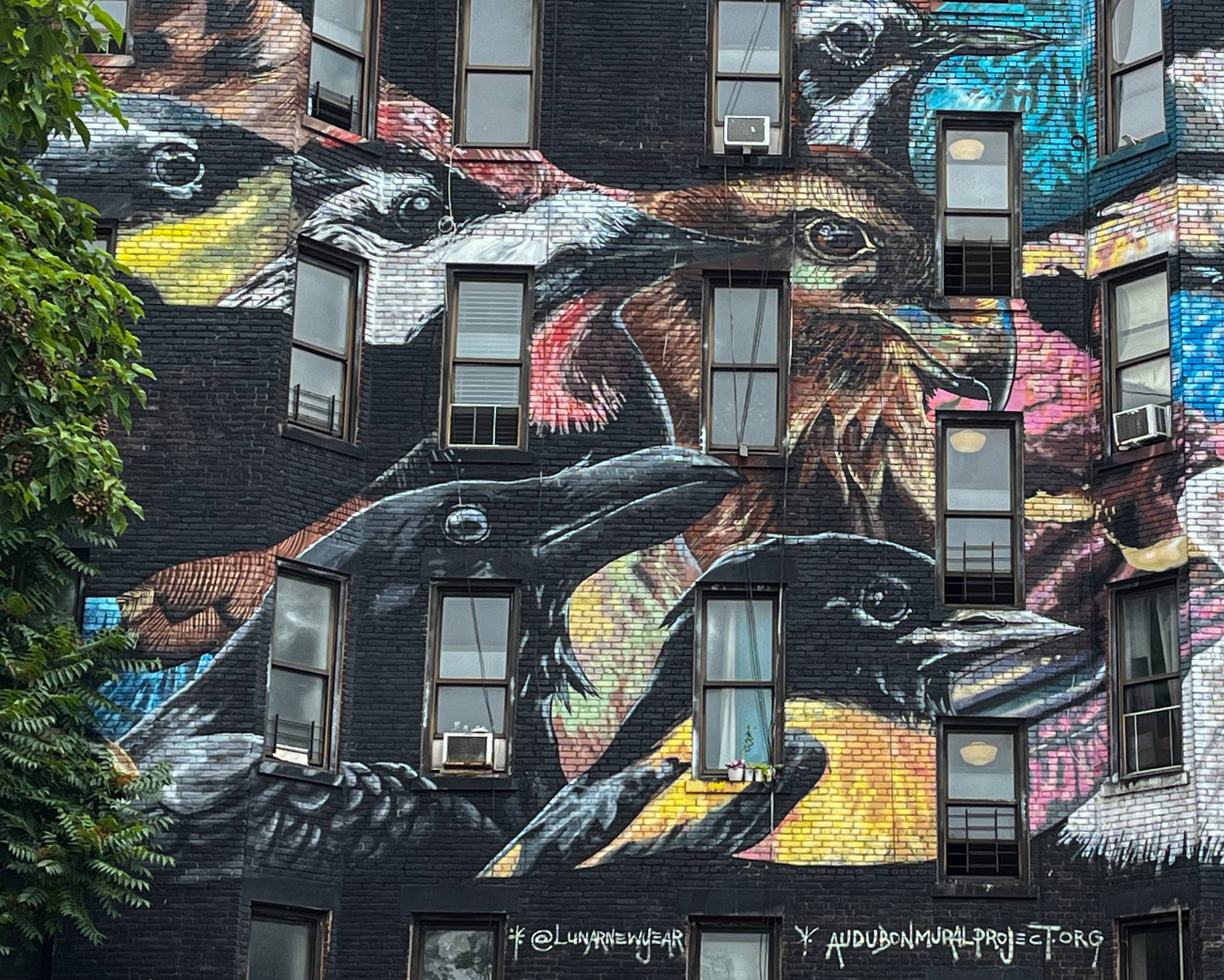 Various Artists&mdash;Images from the Audubon Murals Ptoject