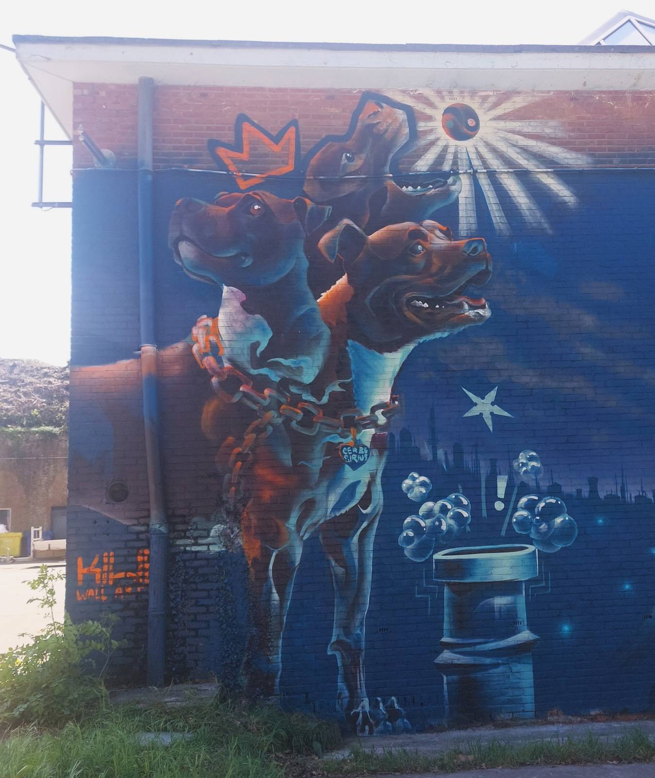 KIWI Wall Art&mdash;undefined