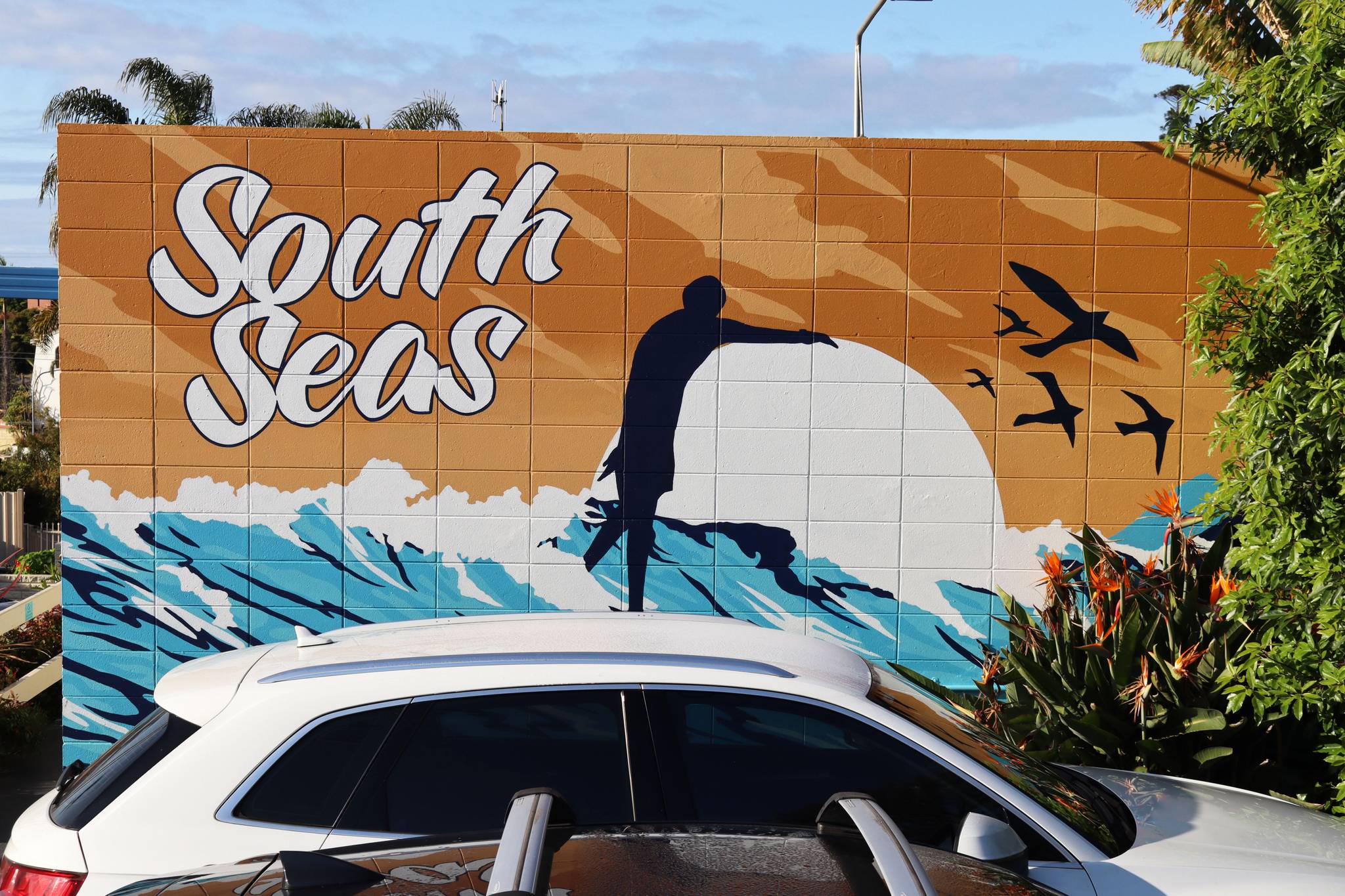 Ocean Thomas&mdash;South Seas