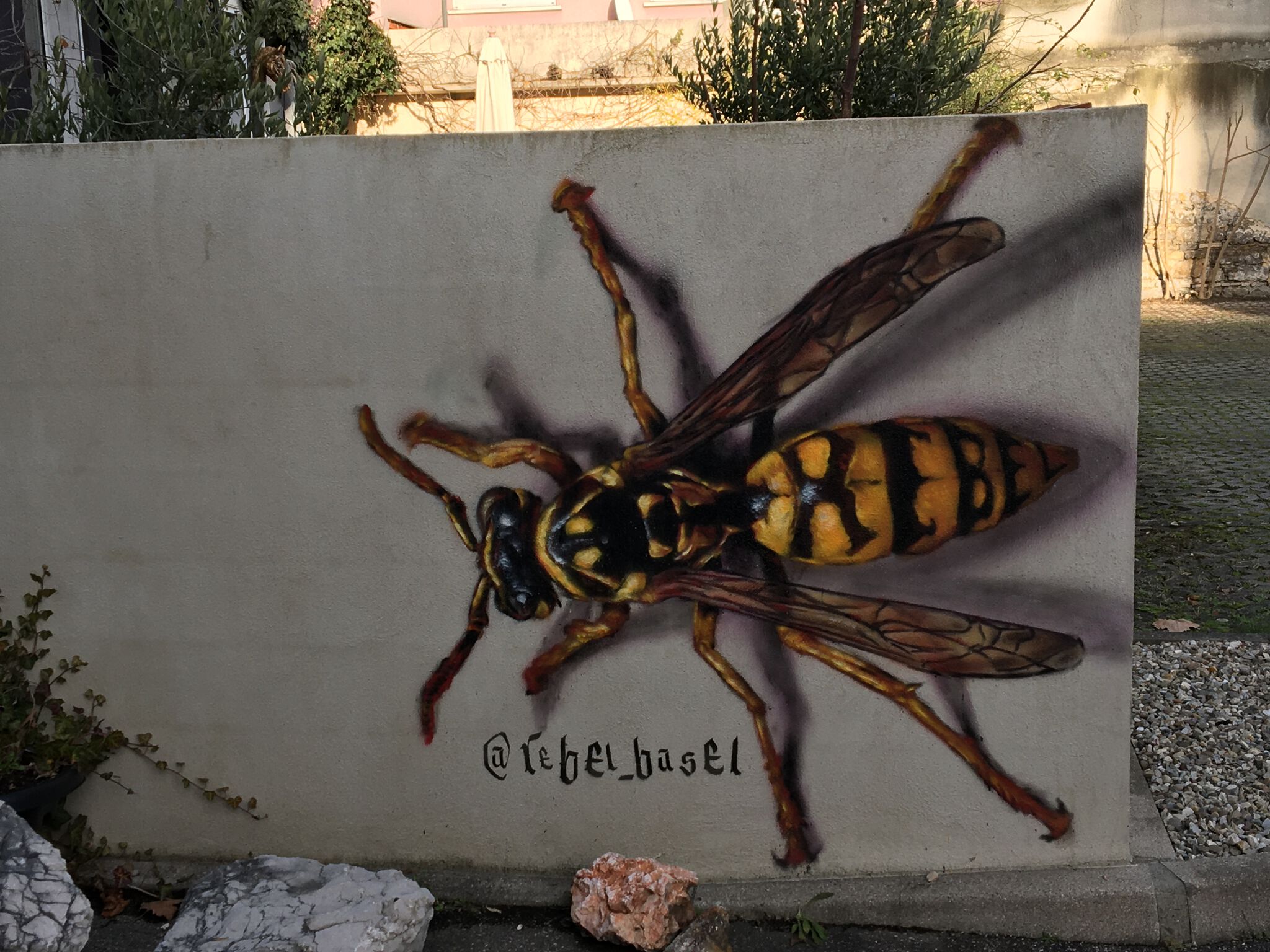 Rebel Basel&mdash;Wespe