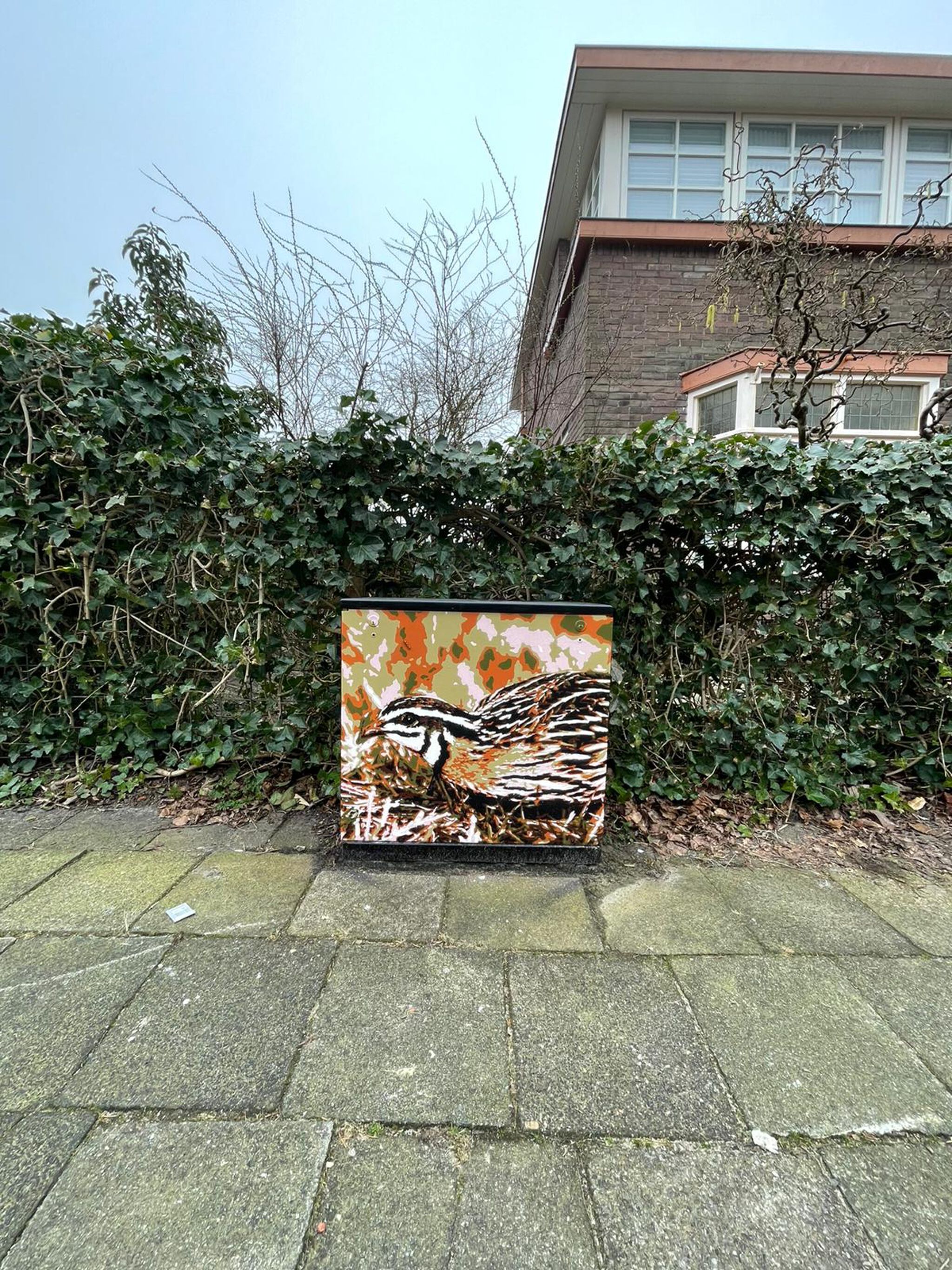 Roy Schreuder&mdash;Kwartel