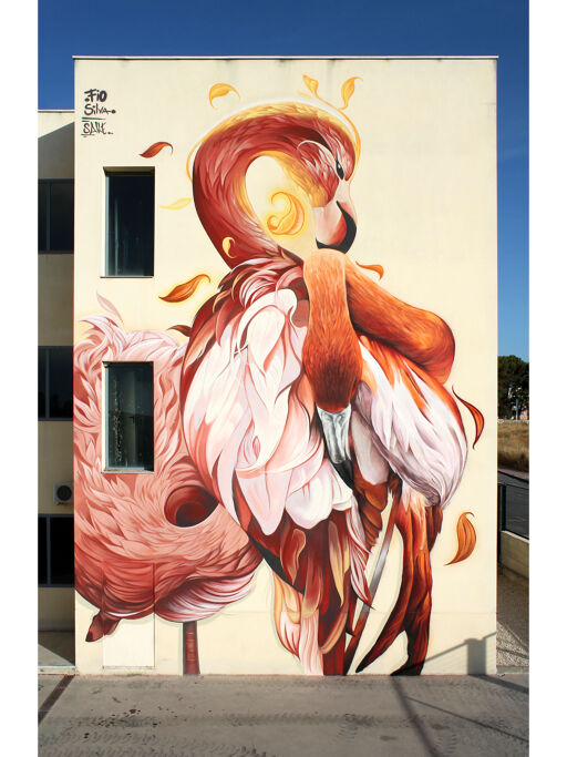 Flamencos del Sur