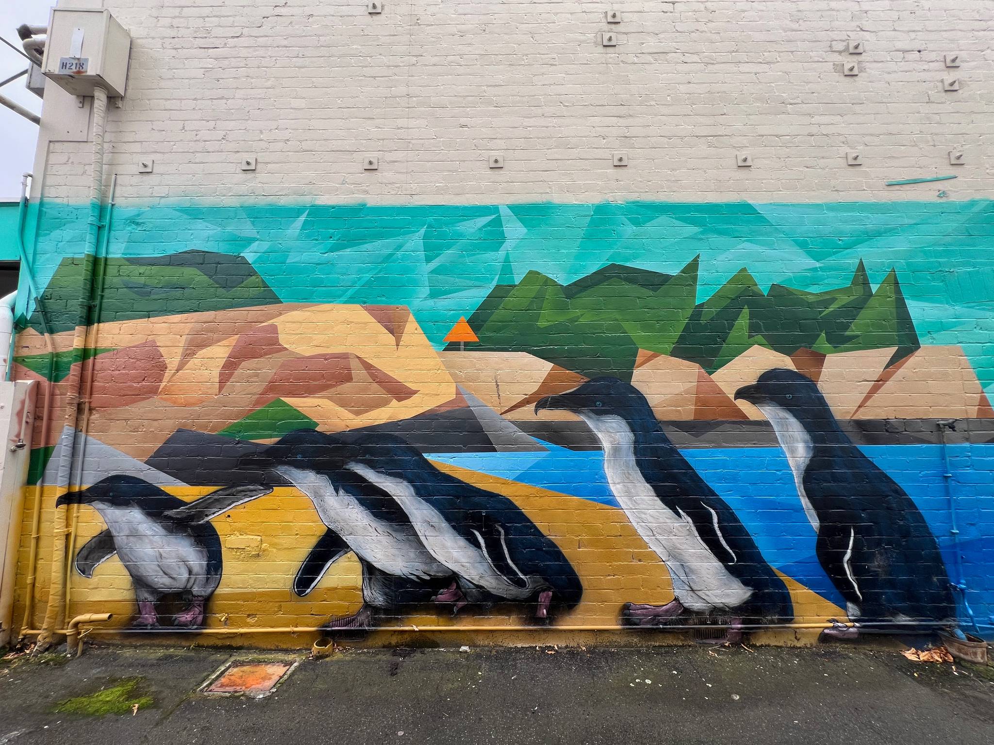 Ants Fowler&mdash;Penquins