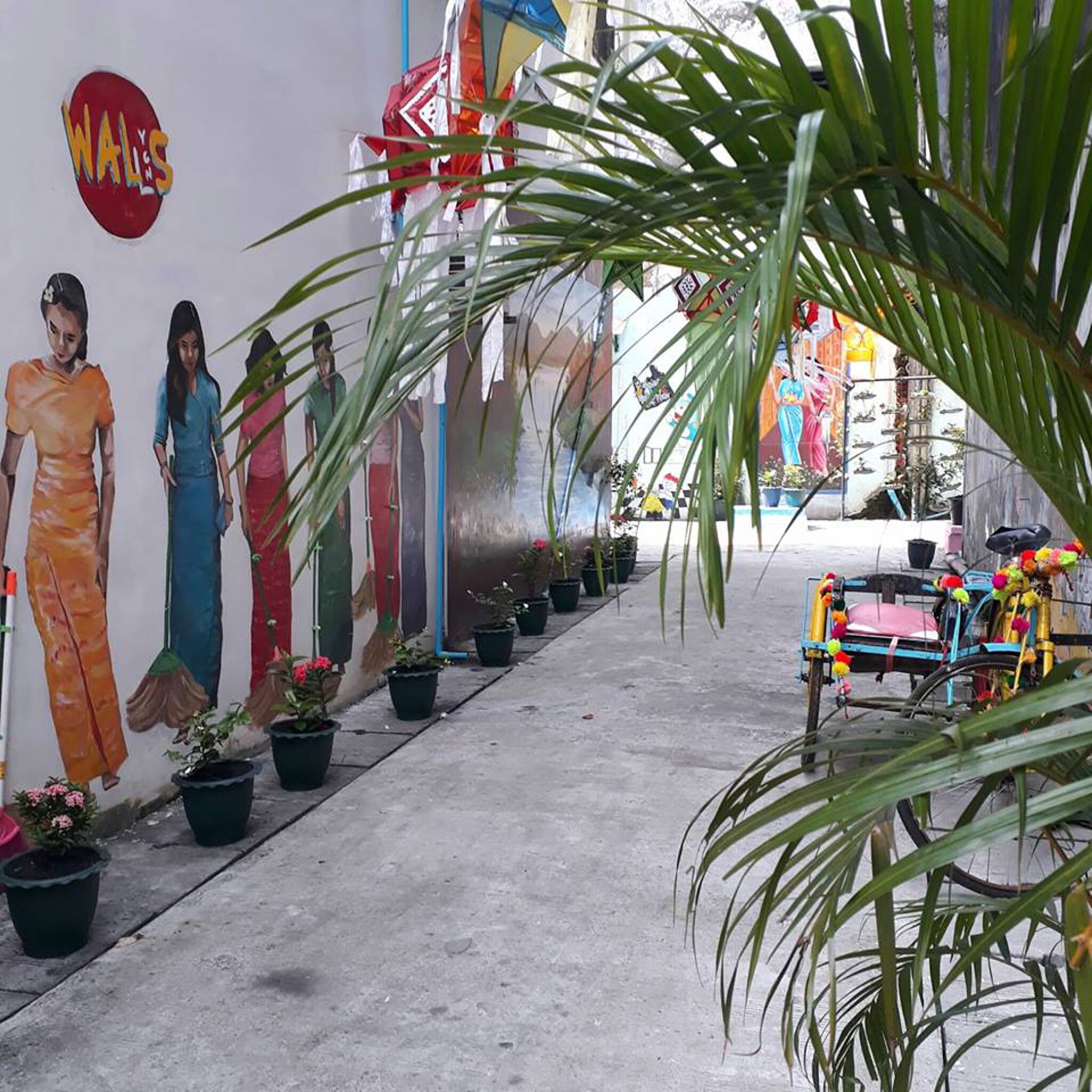 Delphine de Lorme&mdash;6 burmese with a broom