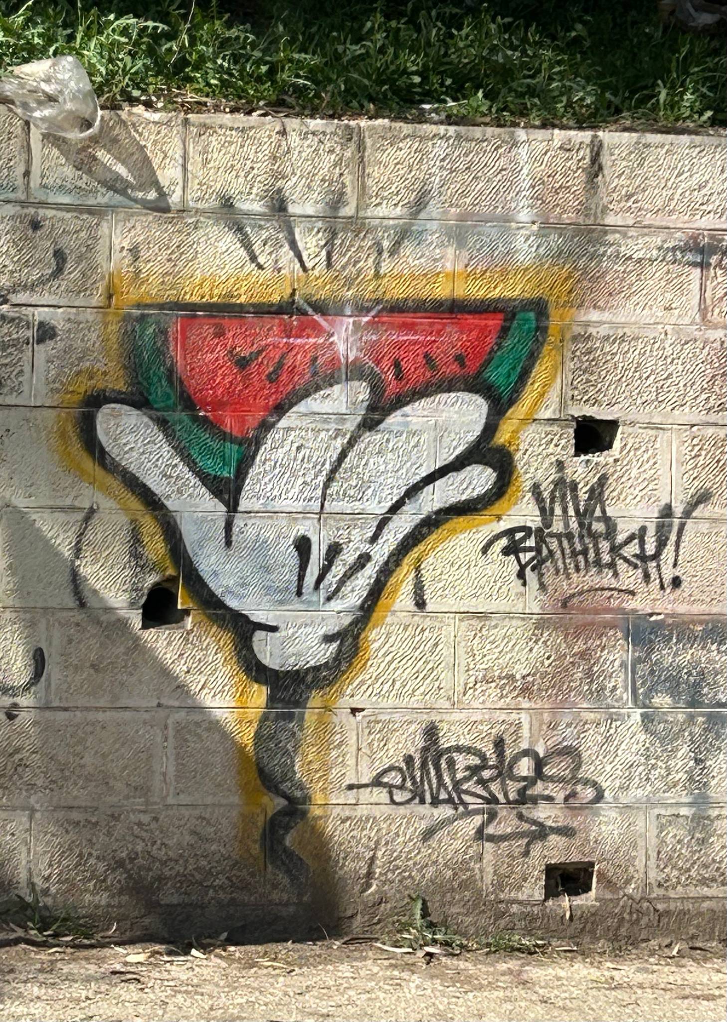 Snarl&mdash;Viva Bathikh