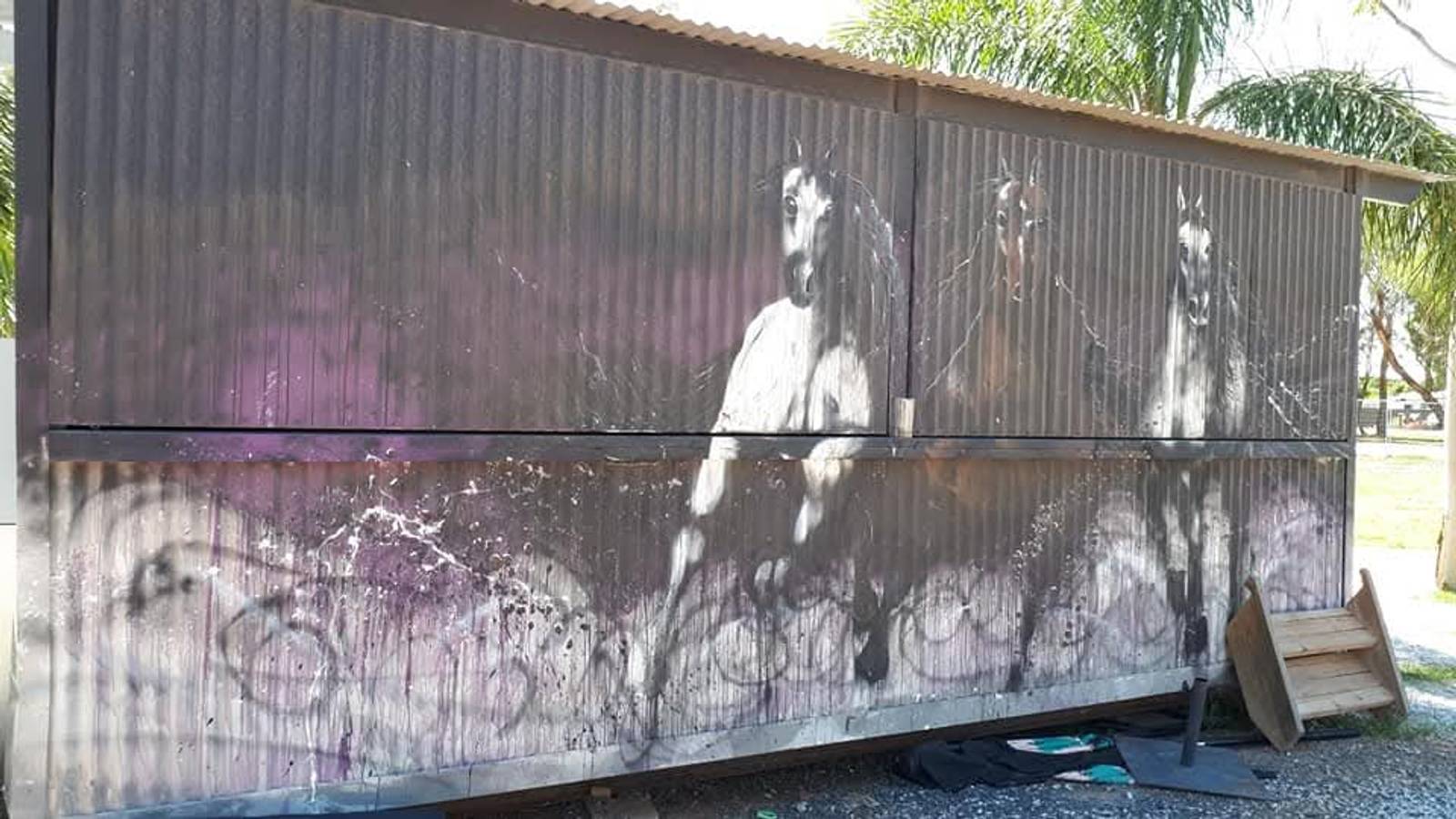 Sobrane&mdash;Bundalong Tavern Rodeo