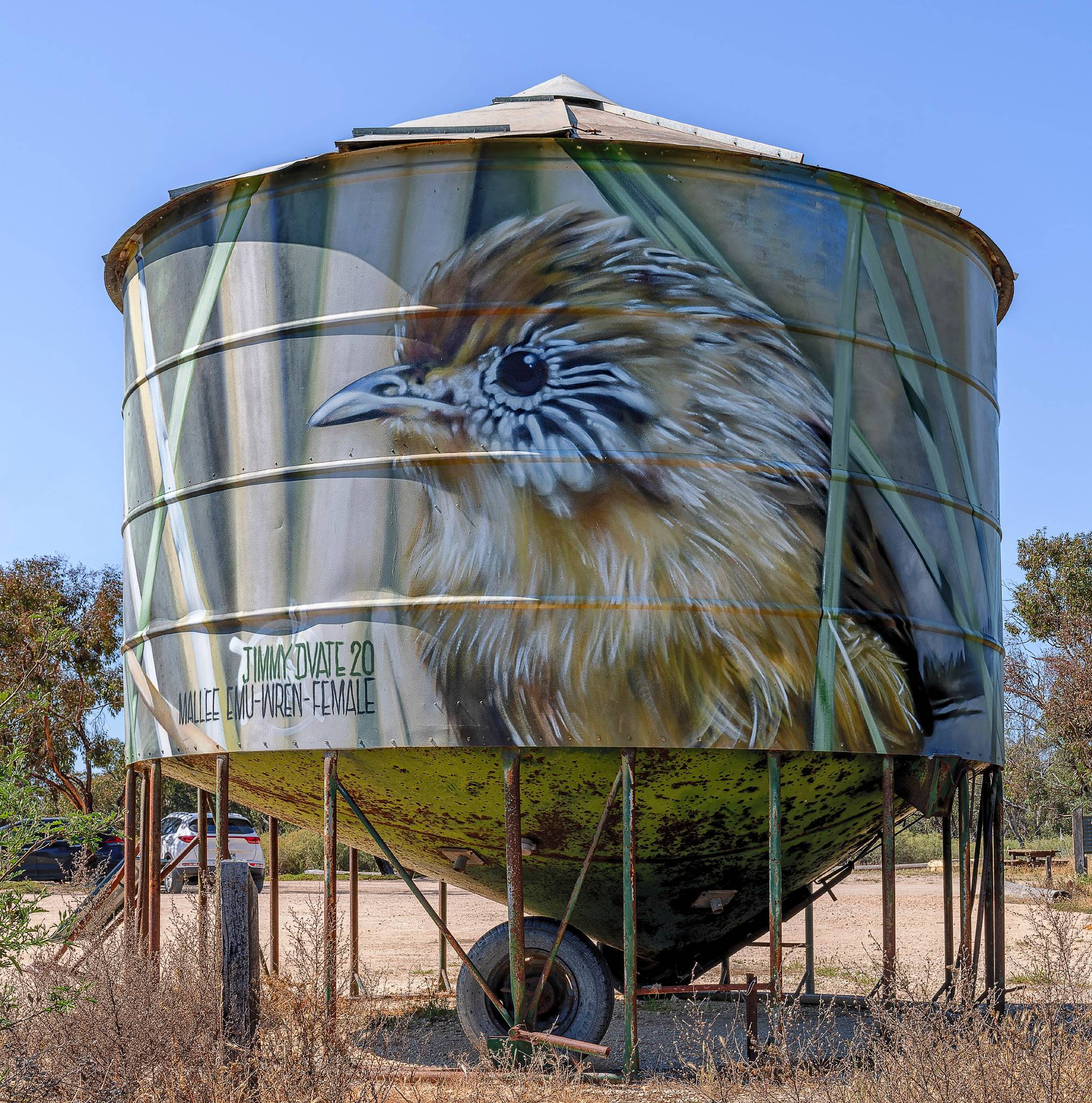 Dvate&mdash;Mallee Emu-Wren