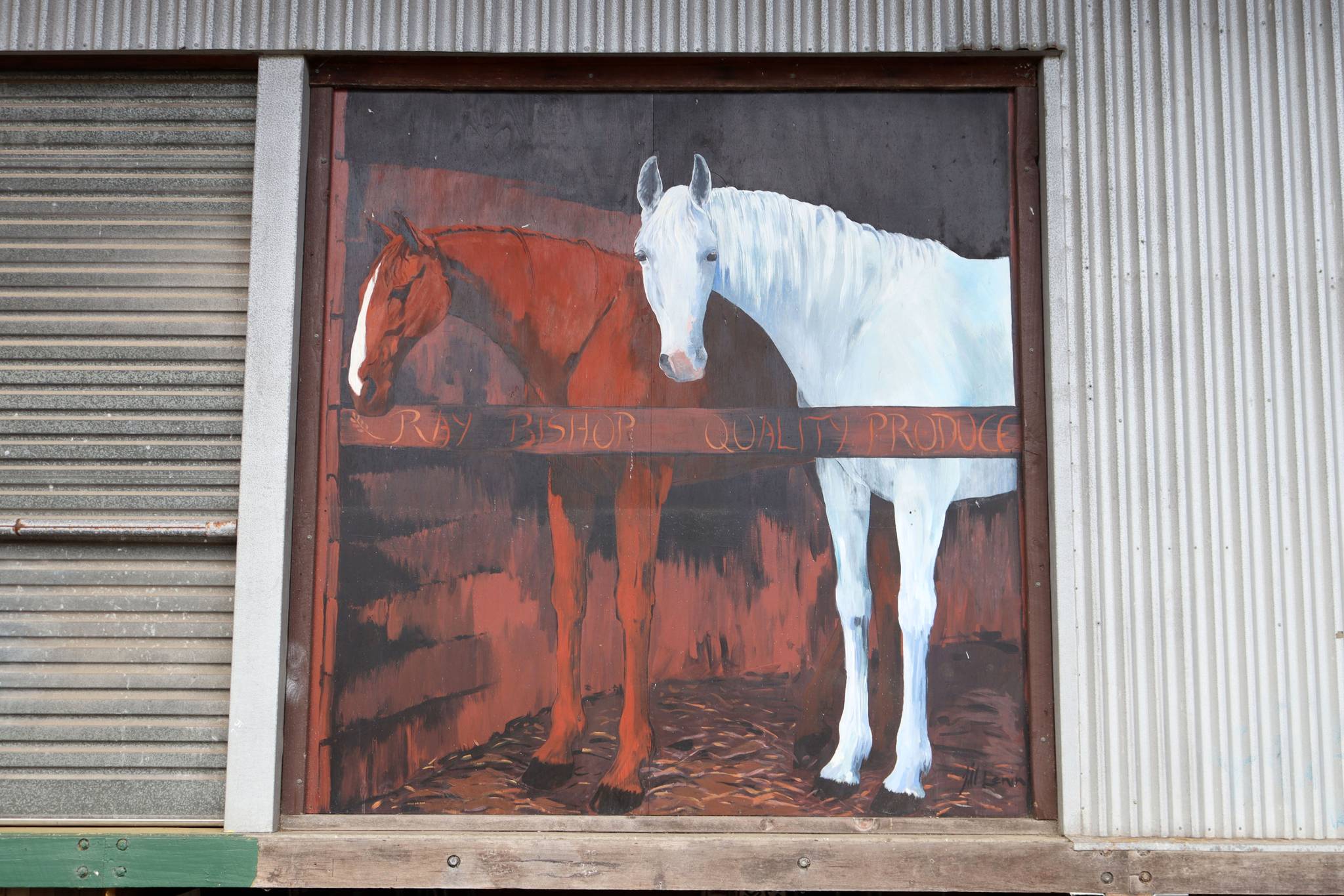 Unknown - Nowra&mdash;El Horses