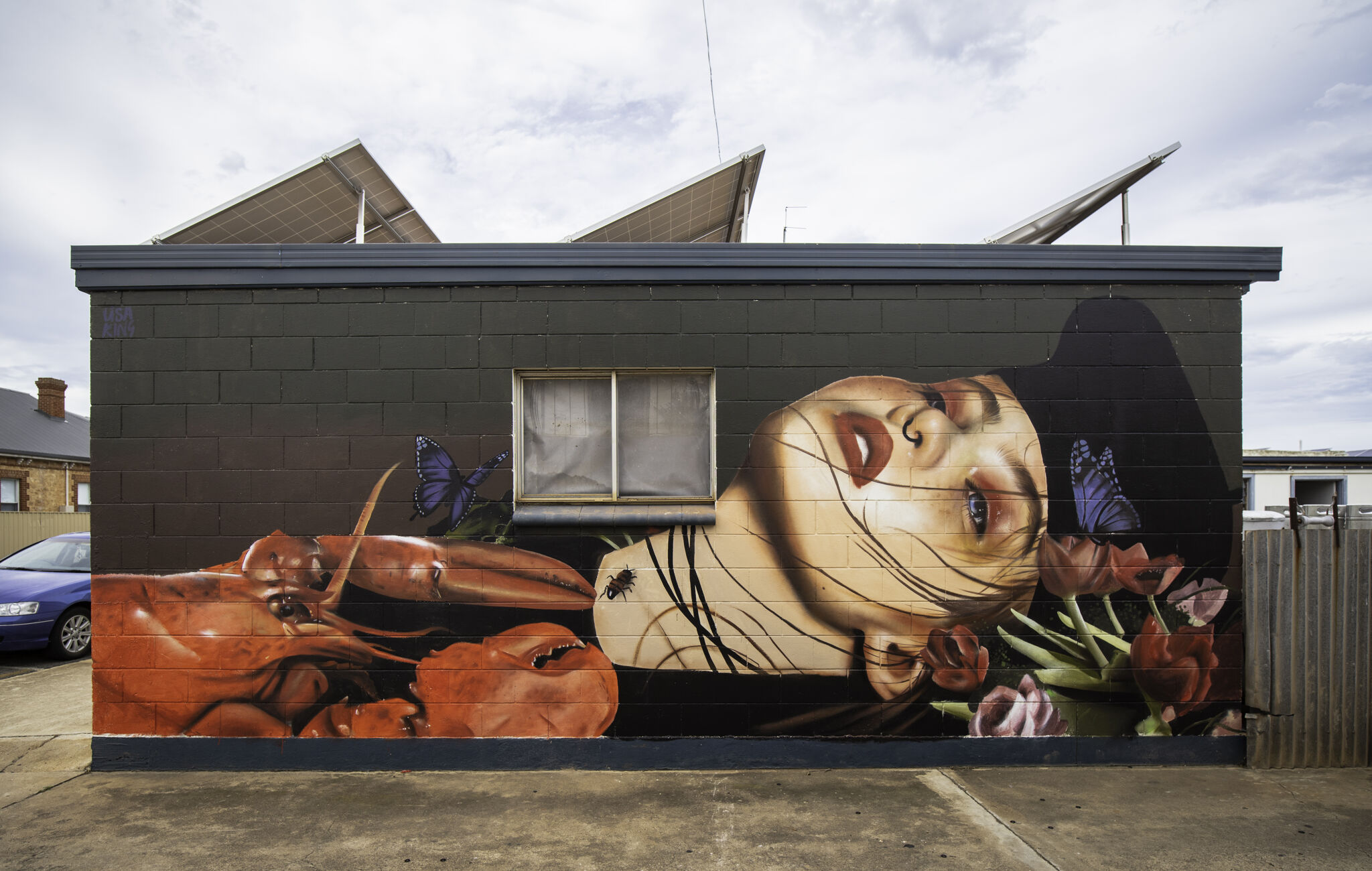 Lisa King&mdash;Untitled