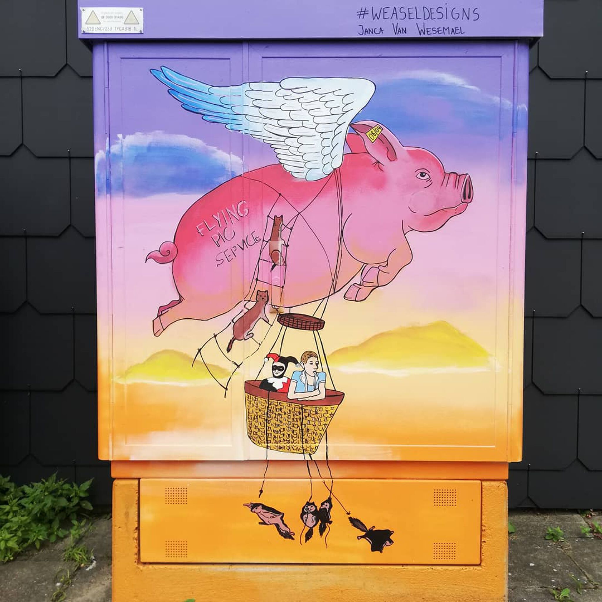 Janca van Wesemael&mdash;Tour Elentrik - Flying pig service