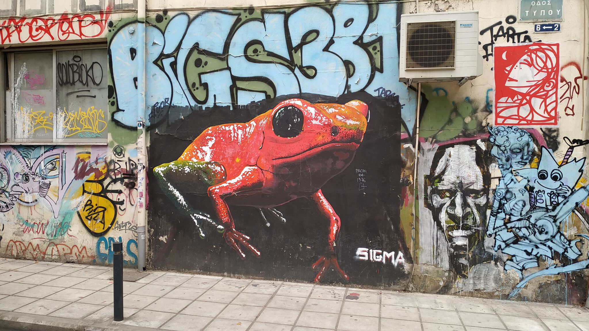 SIGMA&mdash;The Frog