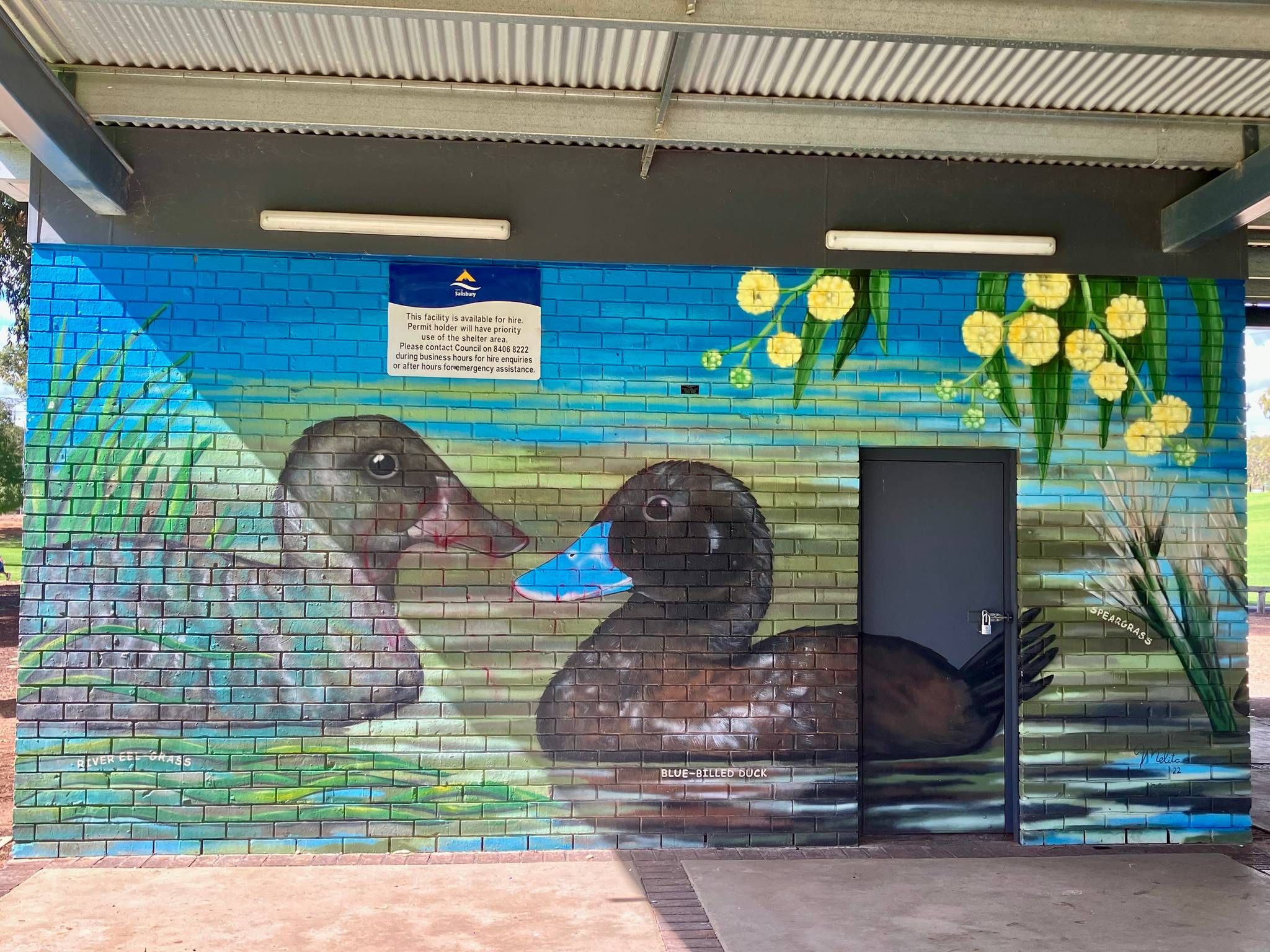 Melita Scott, Keira Scott&mdash;Little Para Wildlife