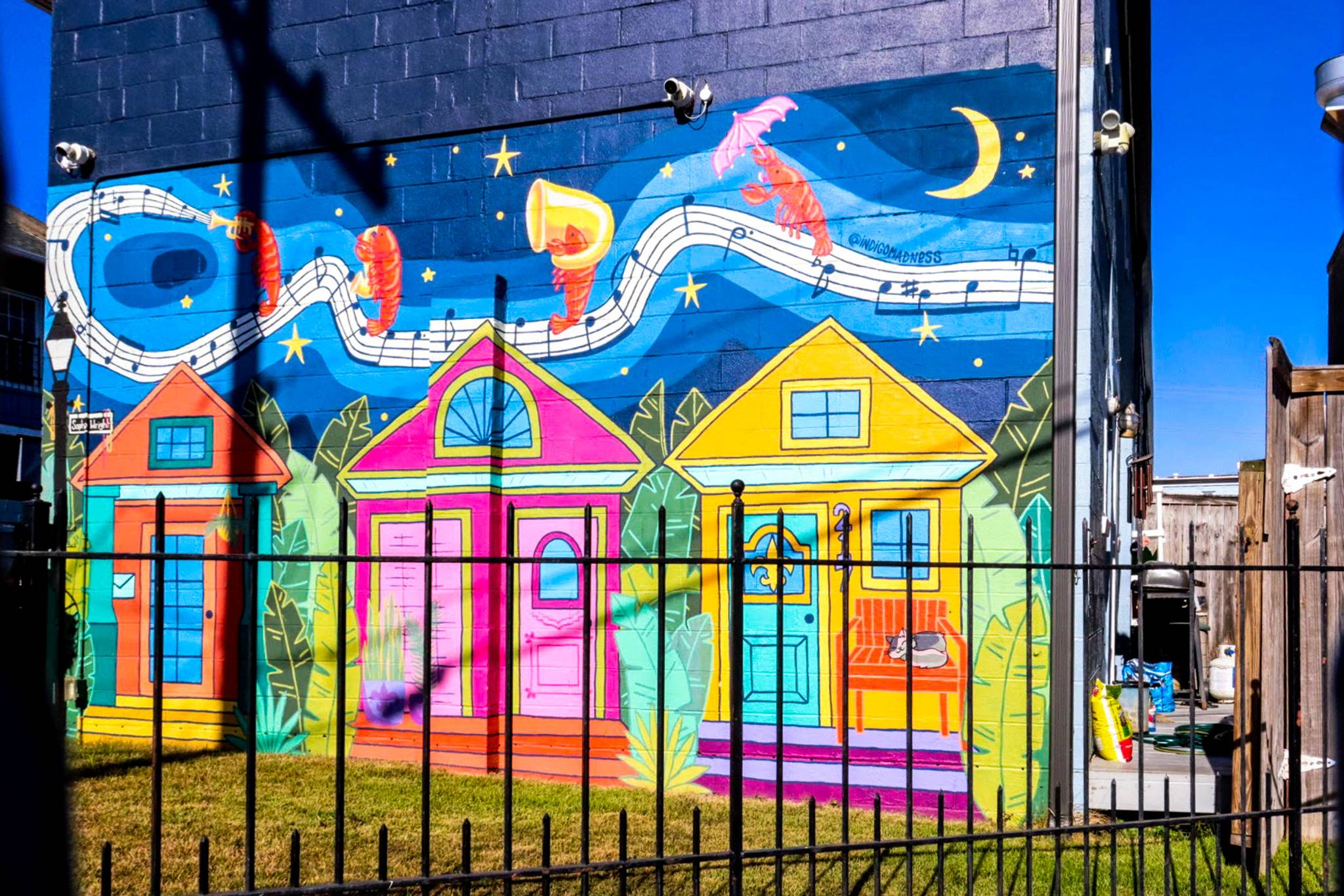 Madison Roy&mdash;New Orleans
