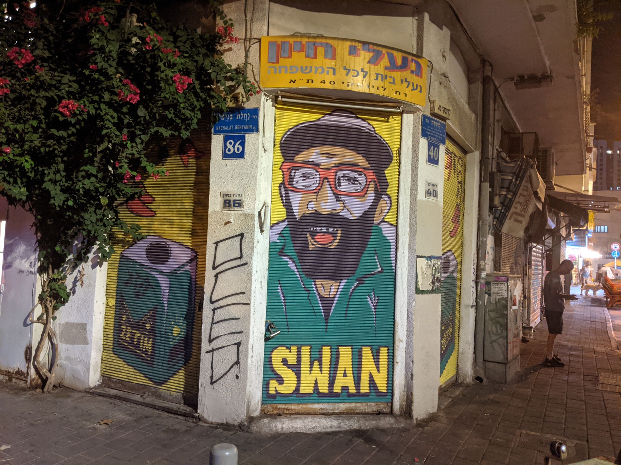 Swan&mdash;No Name