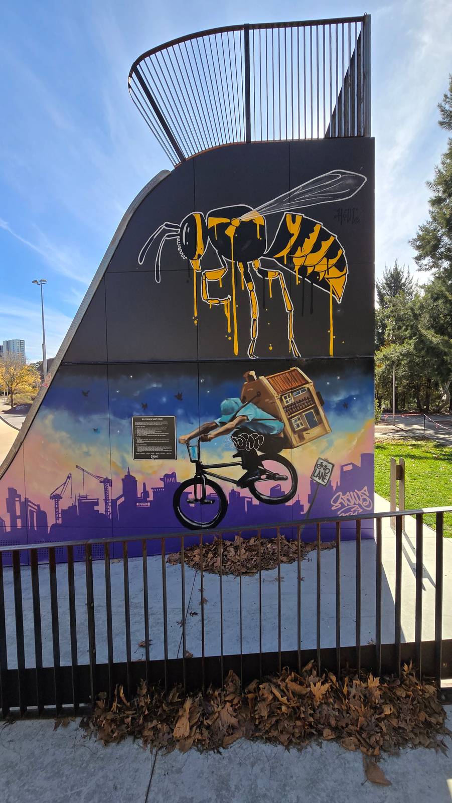 Houl&mdash;Belconnen Skate park Murals