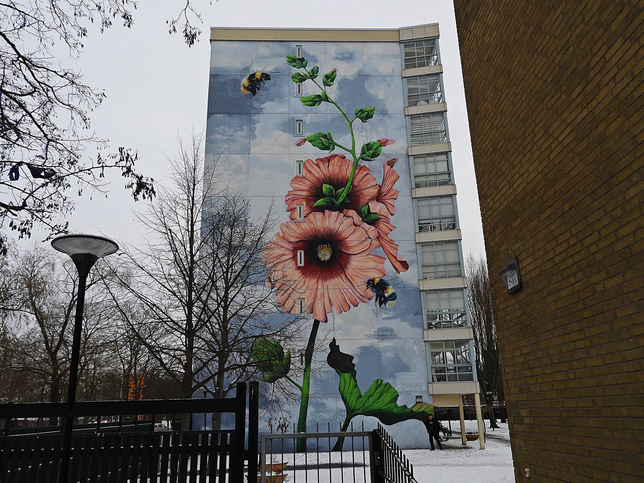 Korallpionen&mdash;Untitled