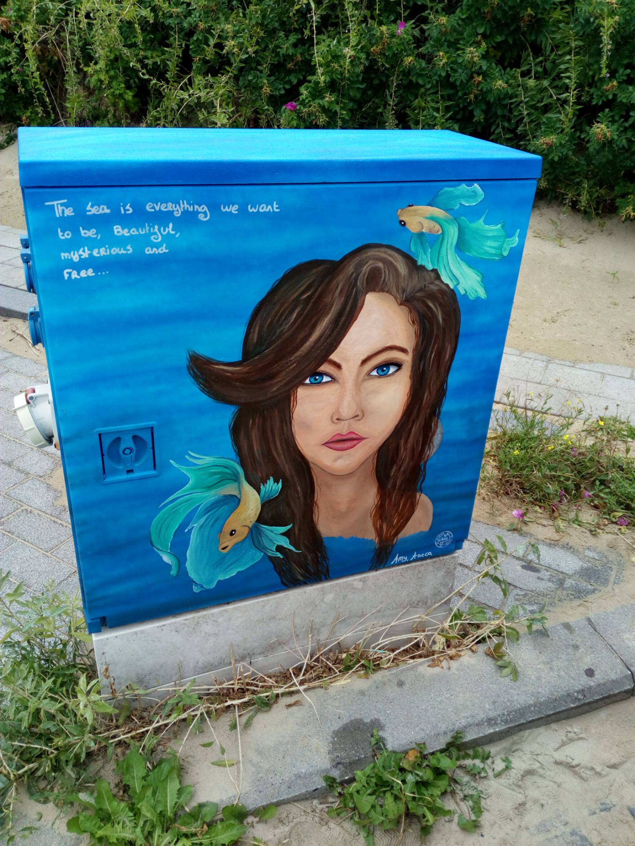 Amy Aneca&mdash;Tour Elentrik - The Mermaid