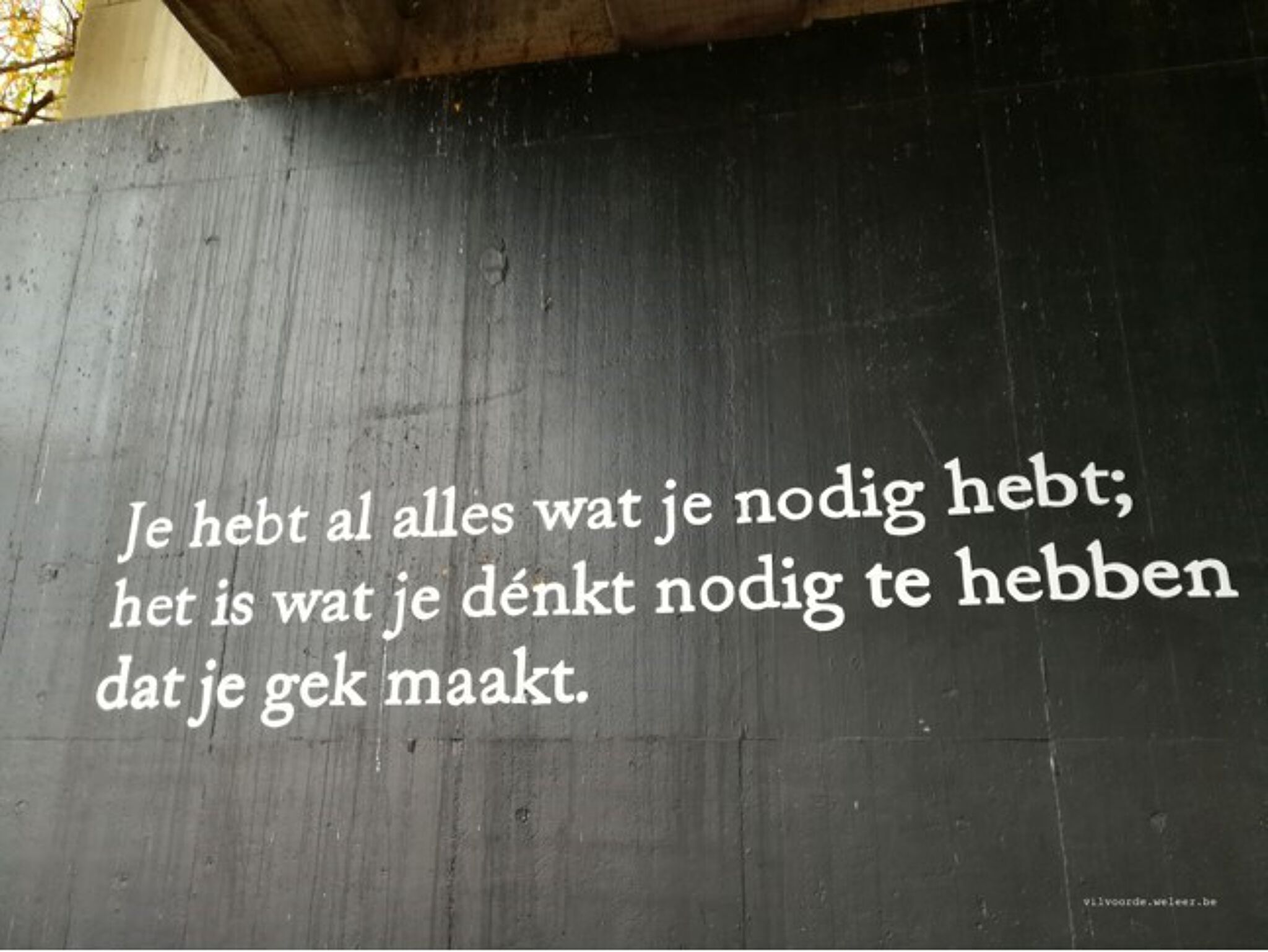 Sander Heremans&mdash;Quotes uit Cécile