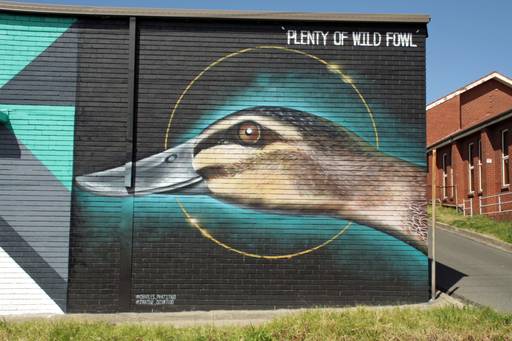 Plenty of Wild Fowl