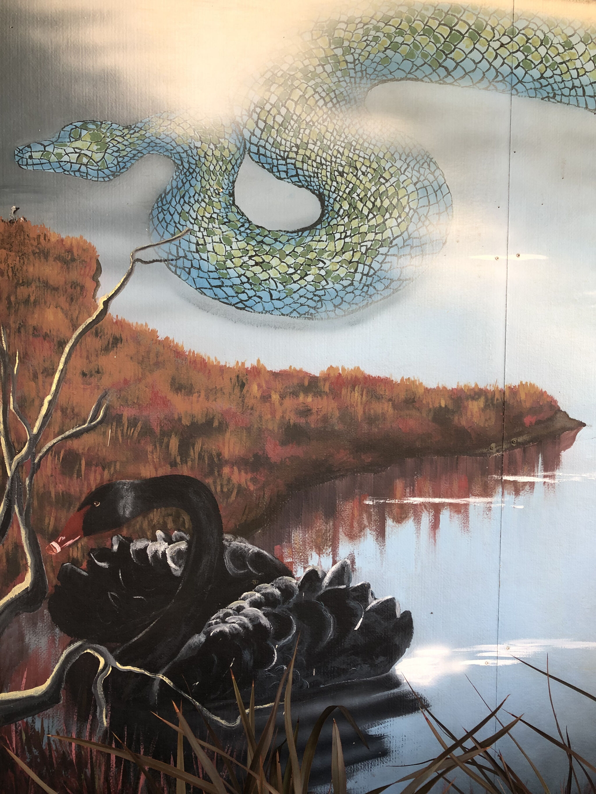 Celestin Hutchinson&mdash;Mandurah Museum