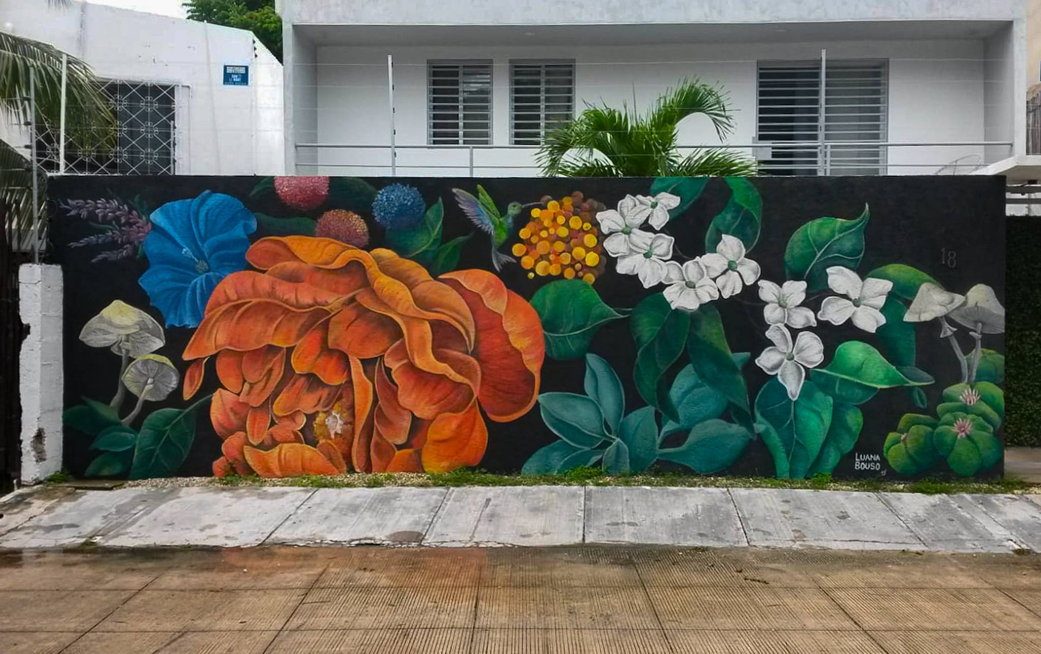 Luana-bouso&mdash;El sueño del Crisantemo