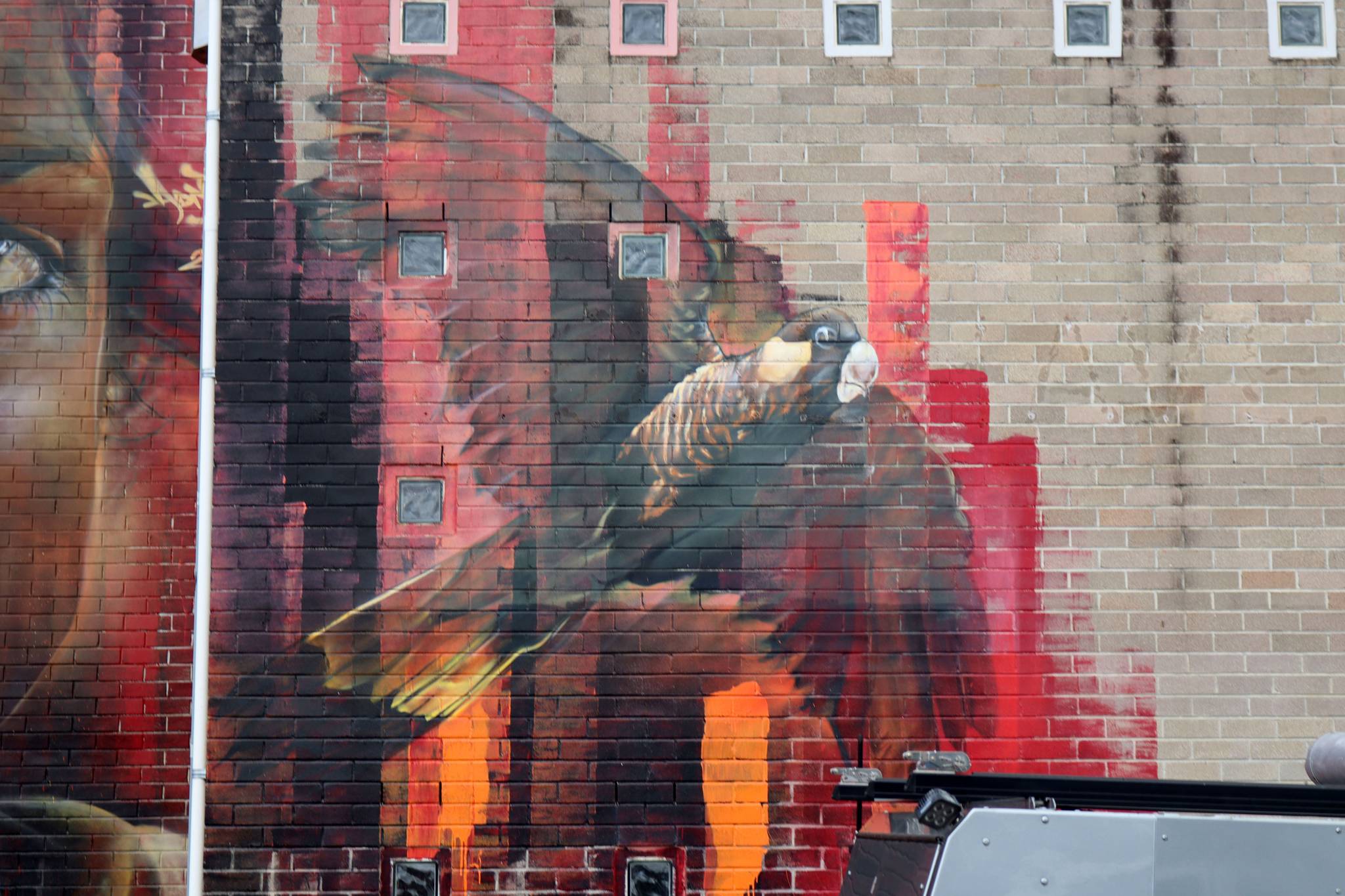 Adnate&mdash;Celebrating Aboriginal Heritage