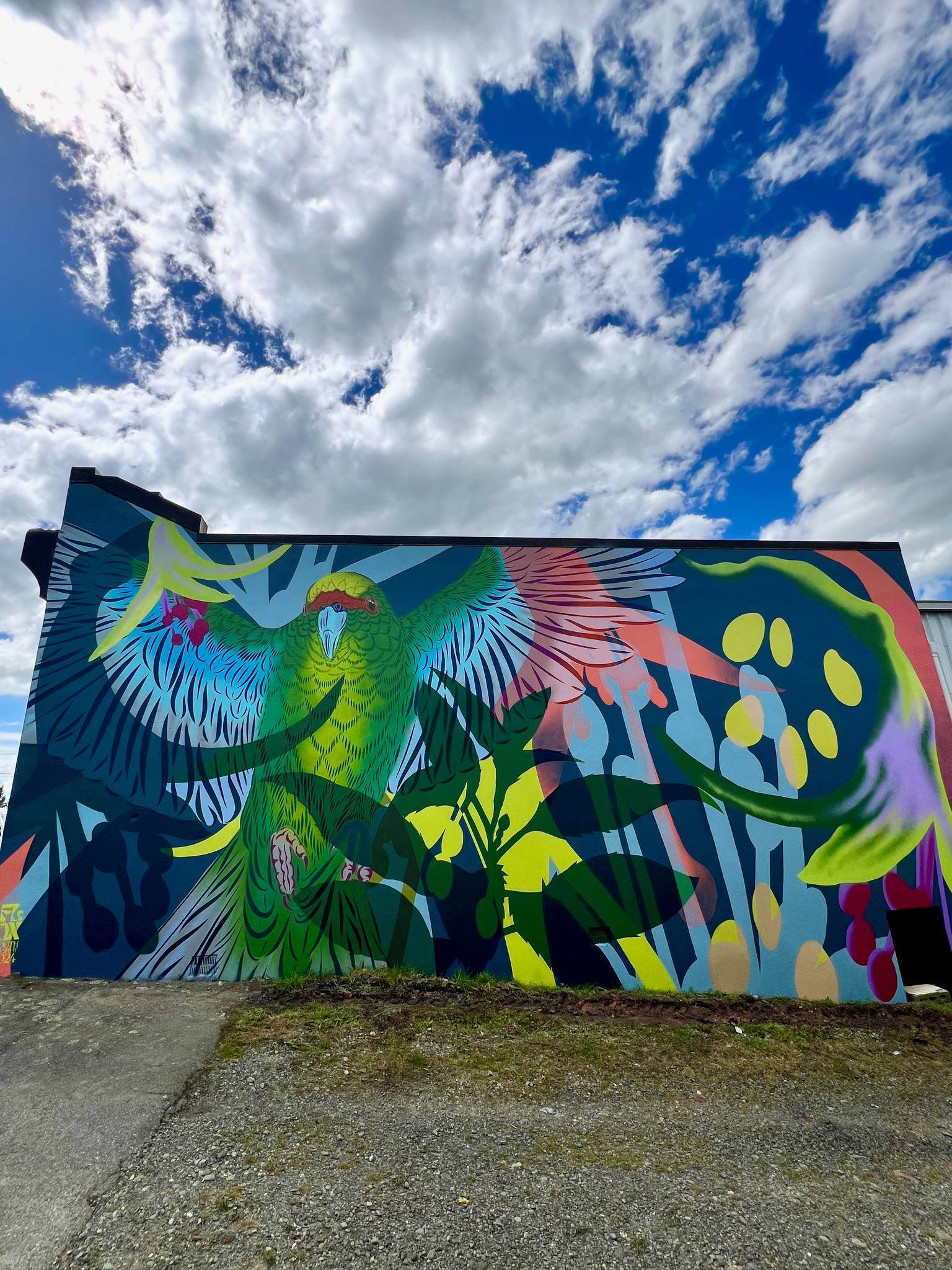 Flox&mdash;Flight of the Kakariki