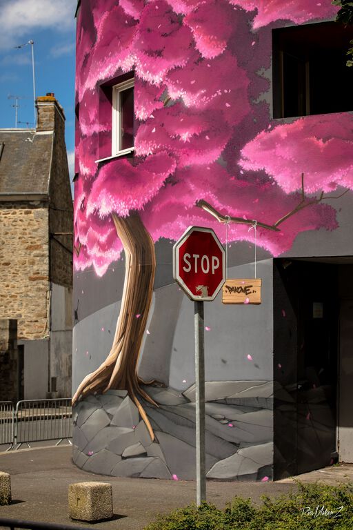 A tree in autumn