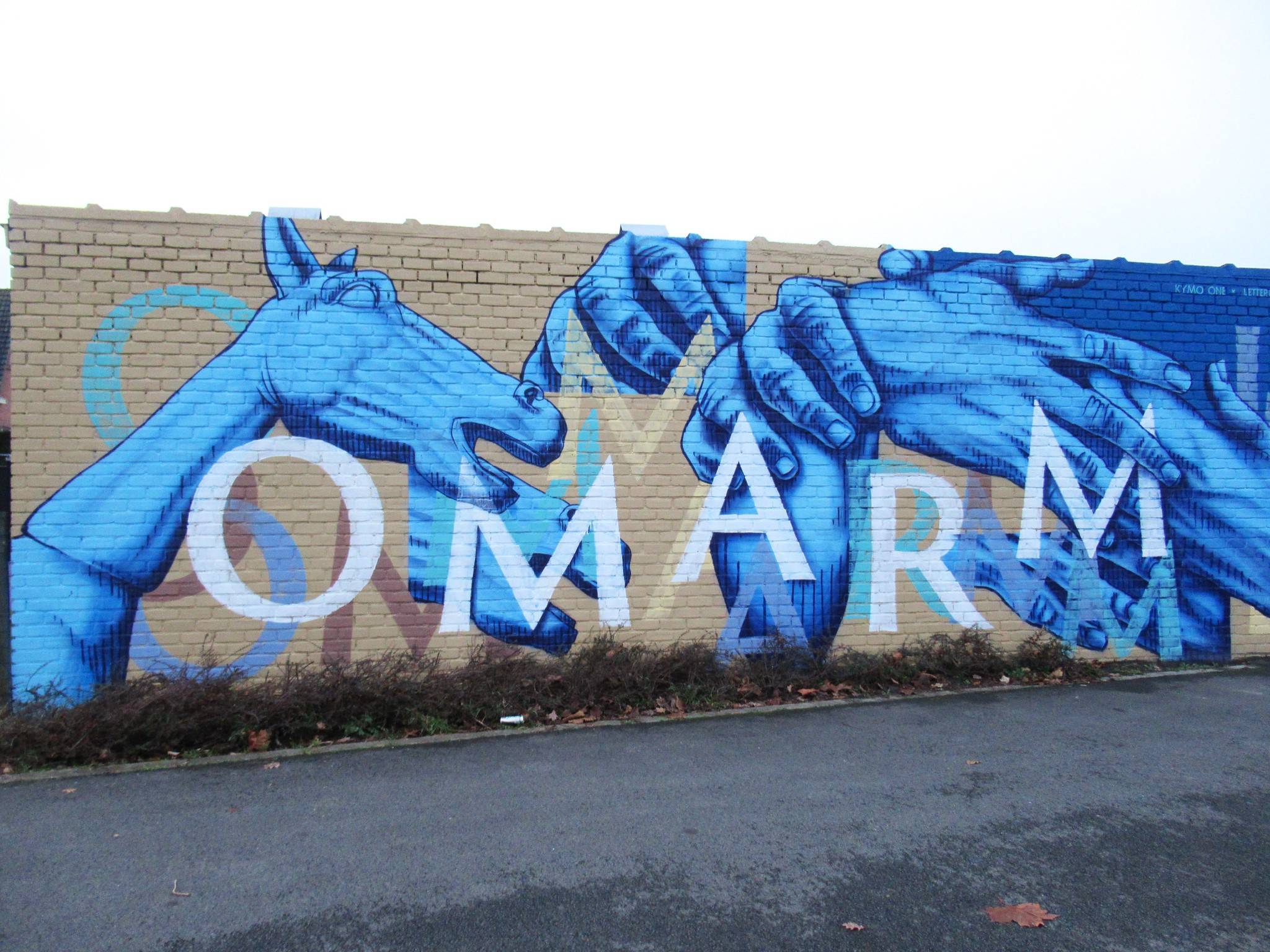 Mr. Leenknecht, Kymo One&mdash;Omarm imperfectie