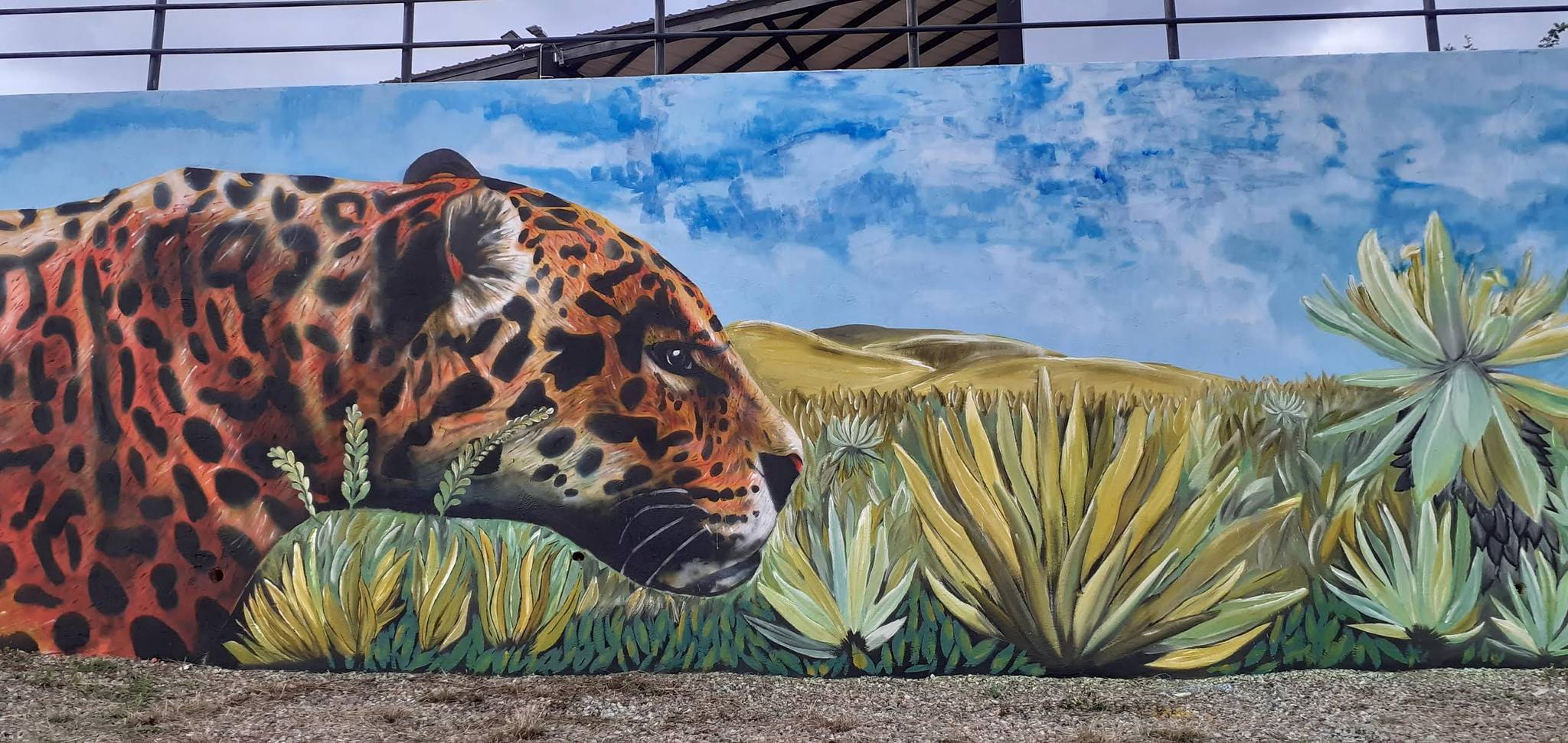 Vicdarina, Jesús Parra, Esquema Colectivo&mdash;Jaguar y Oso de anteojos